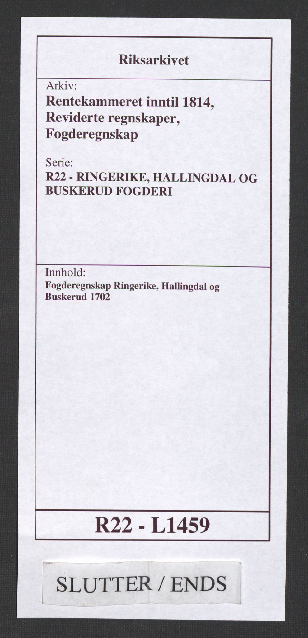 Rentekammeret inntil 1814, Reviderte regnskaper, Fogderegnskap, RA/EA-4092/R22/L1459: Fogderegnskap Ringerike, Hallingdal og Buskerud, 1702, p. 291