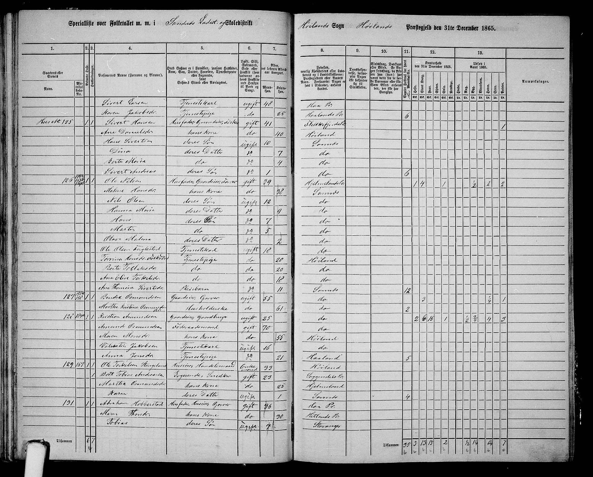 RA, 1865 census for Høyland, 1865, p. 181