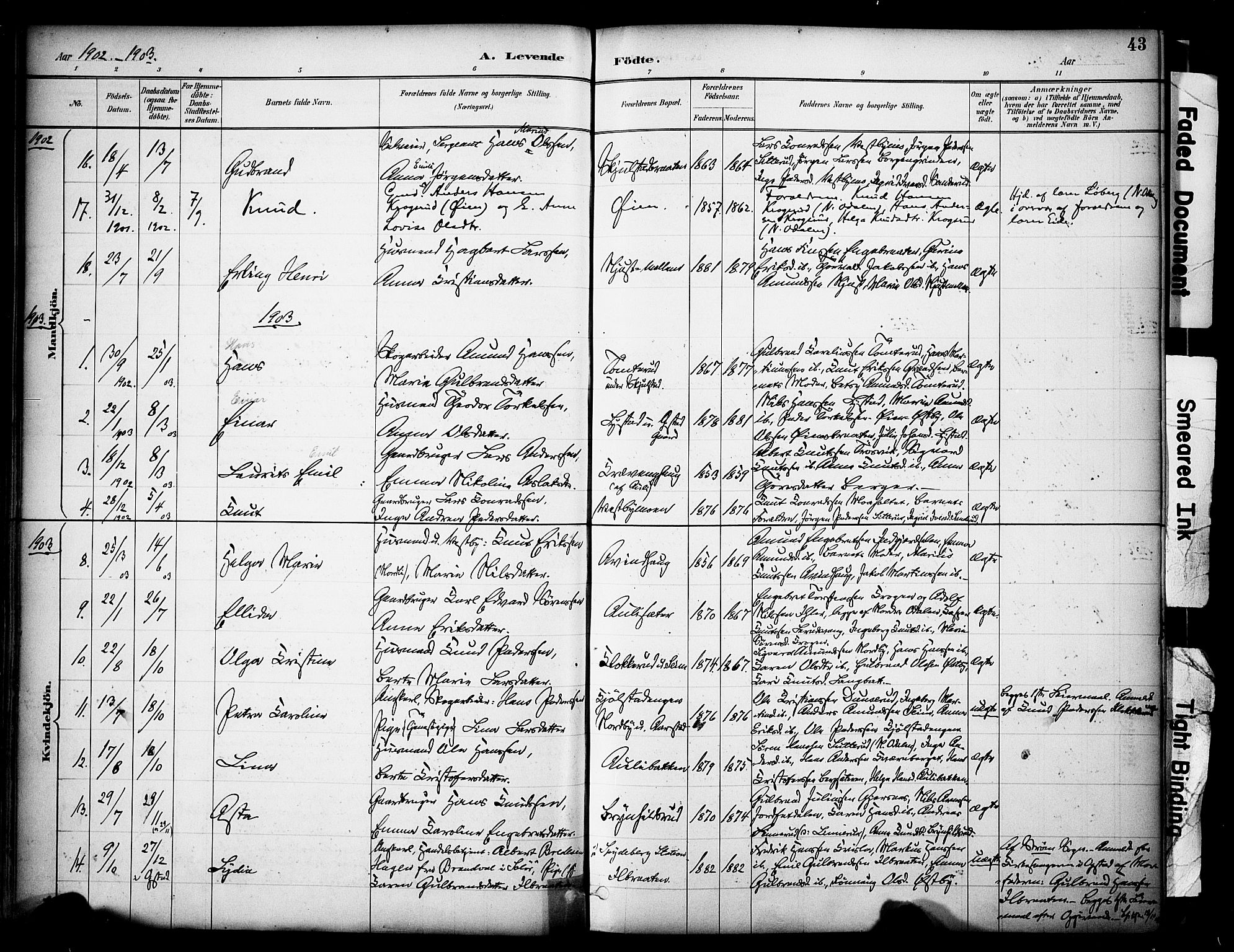 Sør-Odal prestekontor, SAH/PREST-030/H/Ha/Haa/L0009: Parish register (official) no. 9, 1886-1926, p. 43