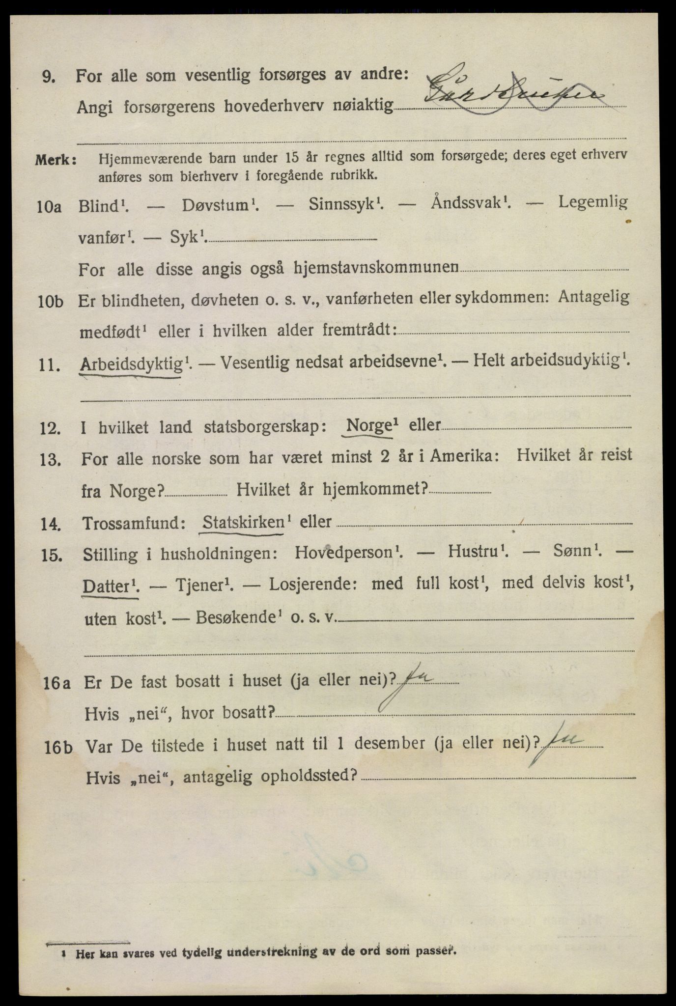 SAKO, 1920 census for Brunlanes, 1920, p. 9256
