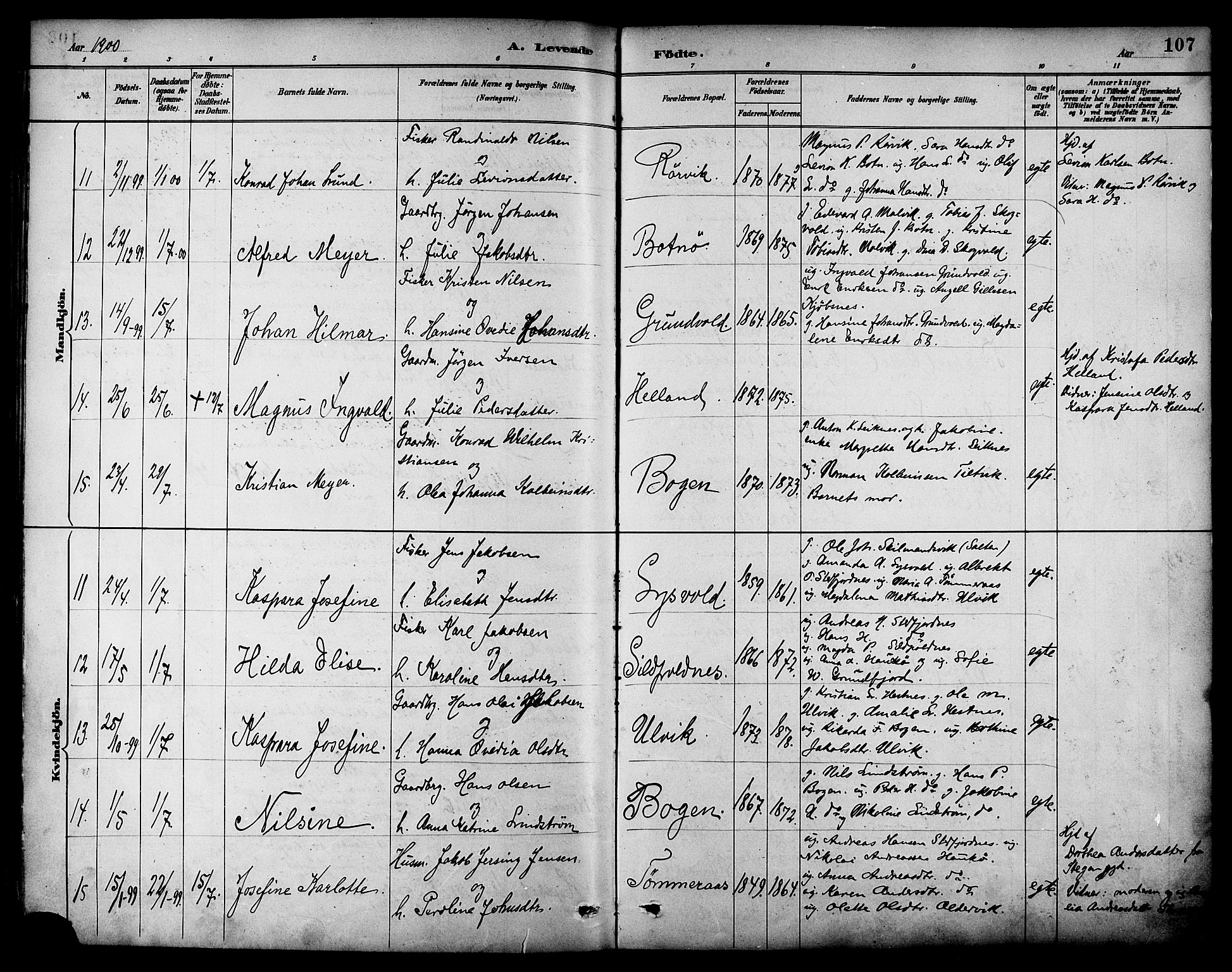 Ministerialprotokoller, klokkerbøker og fødselsregistre - Nordland, AV/SAT-A-1459/861/L0869: Parish register (official) no. 861A04, 1889-1903, p. 107