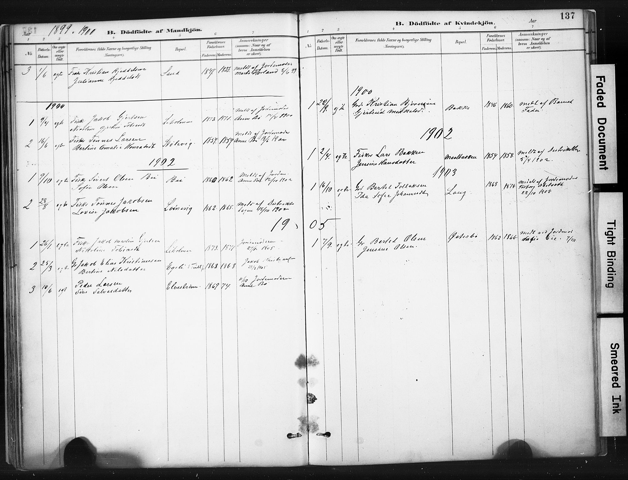 Sokndal sokneprestkontor, SAST/A-101808: Parish register (official) no. A 11.1, 1887-1905, p. 137