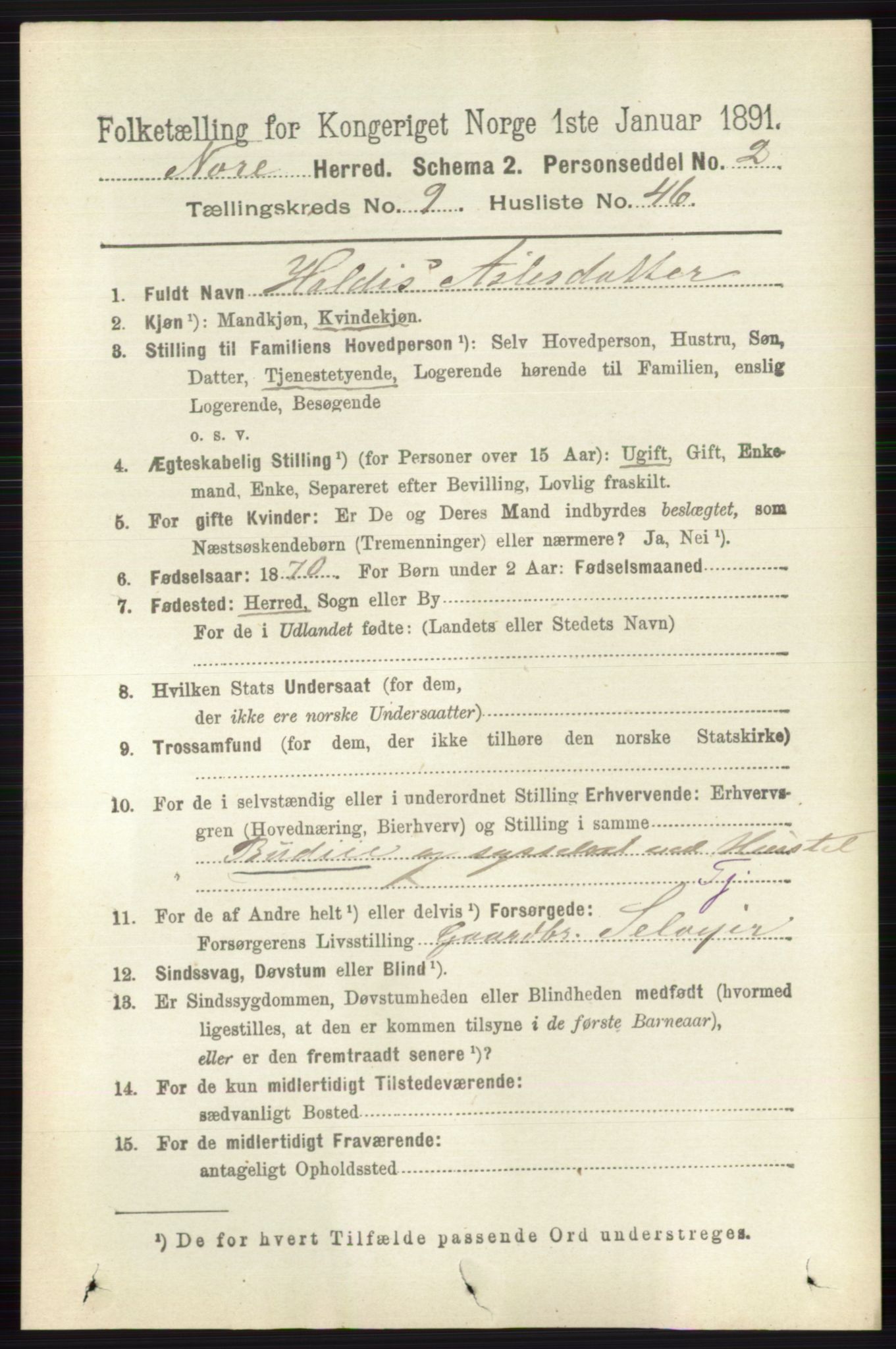 RA, 1891 census for 0633 Nore, 1891, p. 3476