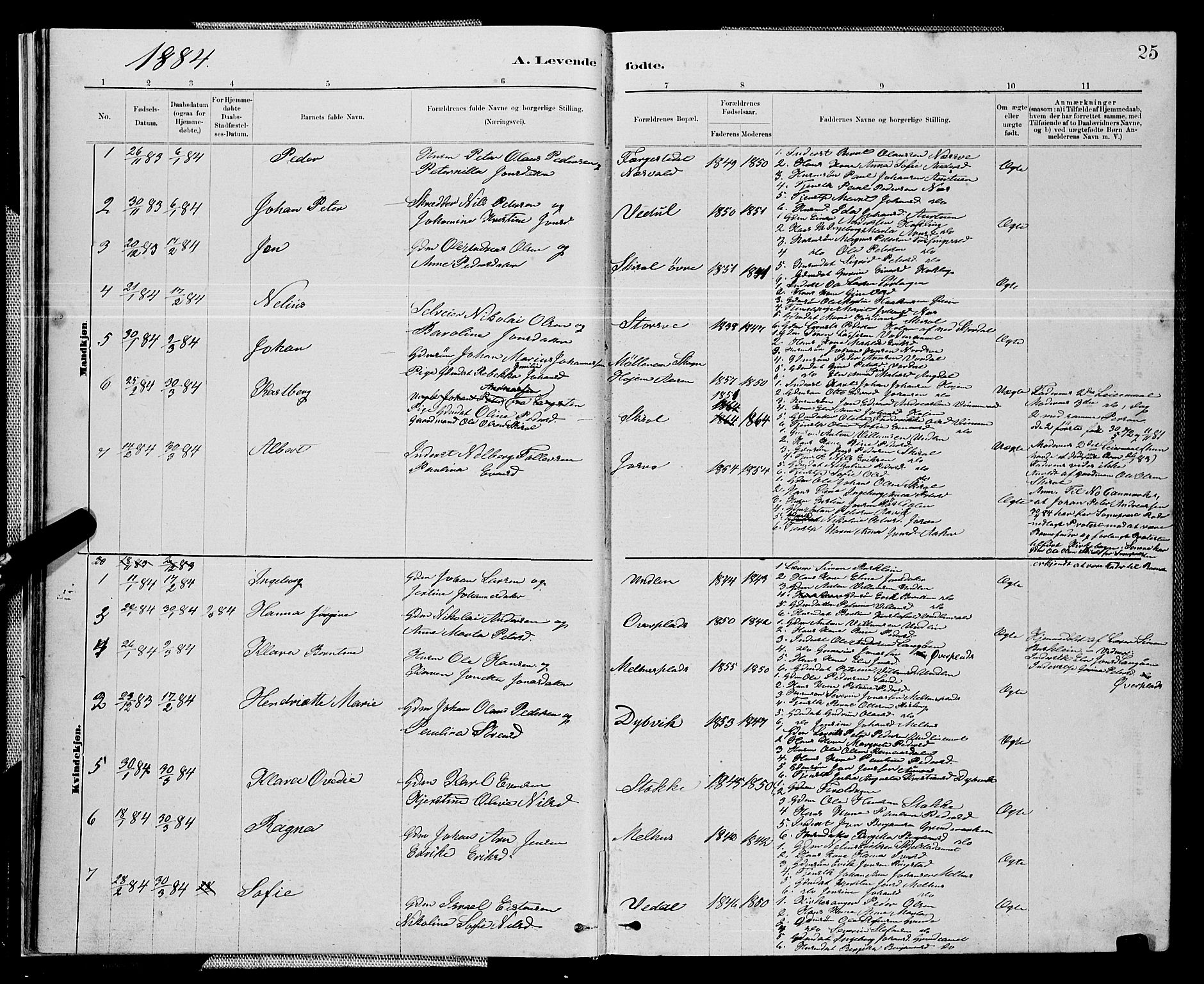 Ministerialprotokoller, klokkerbøker og fødselsregistre - Nord-Trøndelag, AV/SAT-A-1458/714/L0134: Parish register (copy) no. 714C03, 1878-1898, p. 25