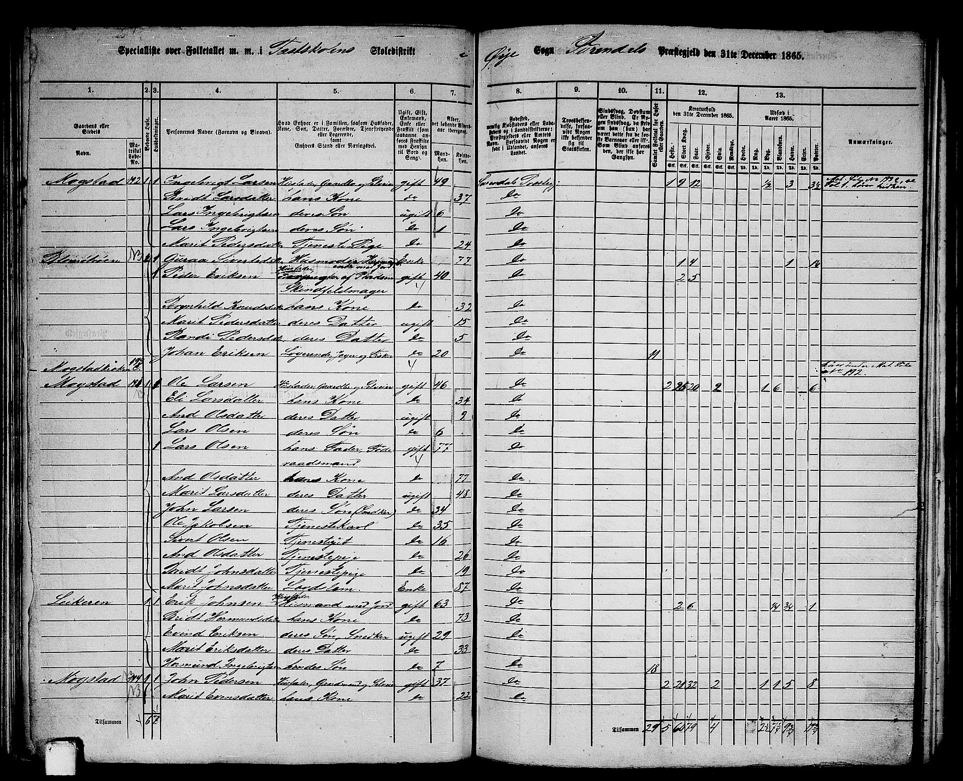 RA, 1865 census for Surnadal, 1865, p. 110