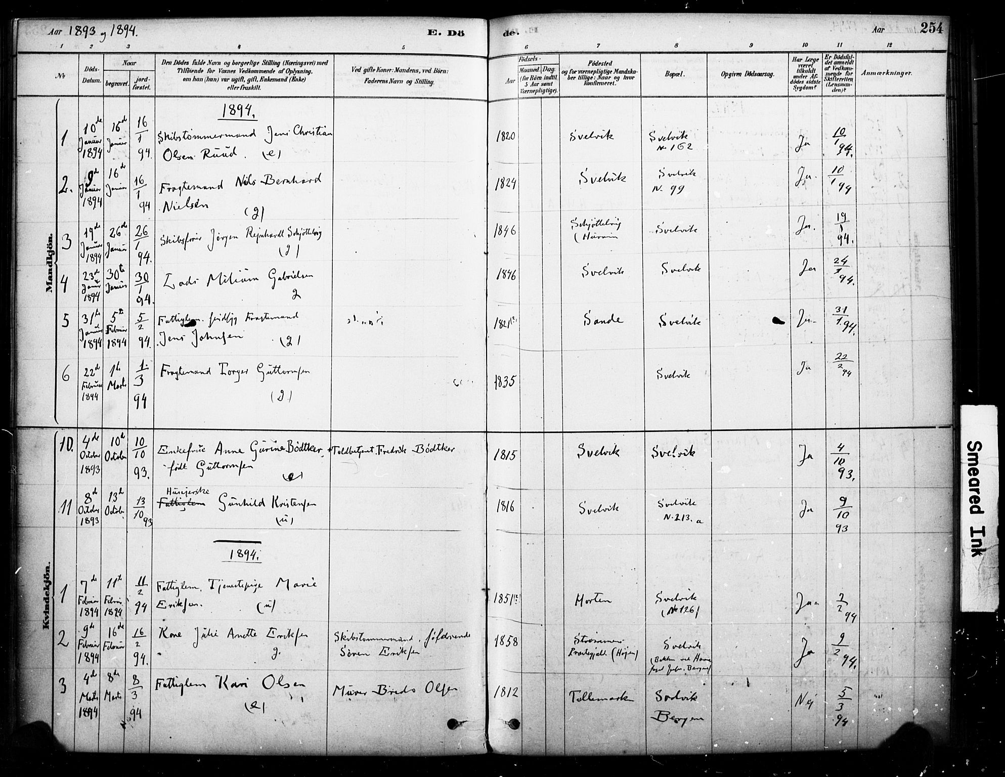 Strømm kirkebøker, SAKO/A-322/F/Fb/L0001: Parish register (official) no. II 1, 1878-1899, p. 254