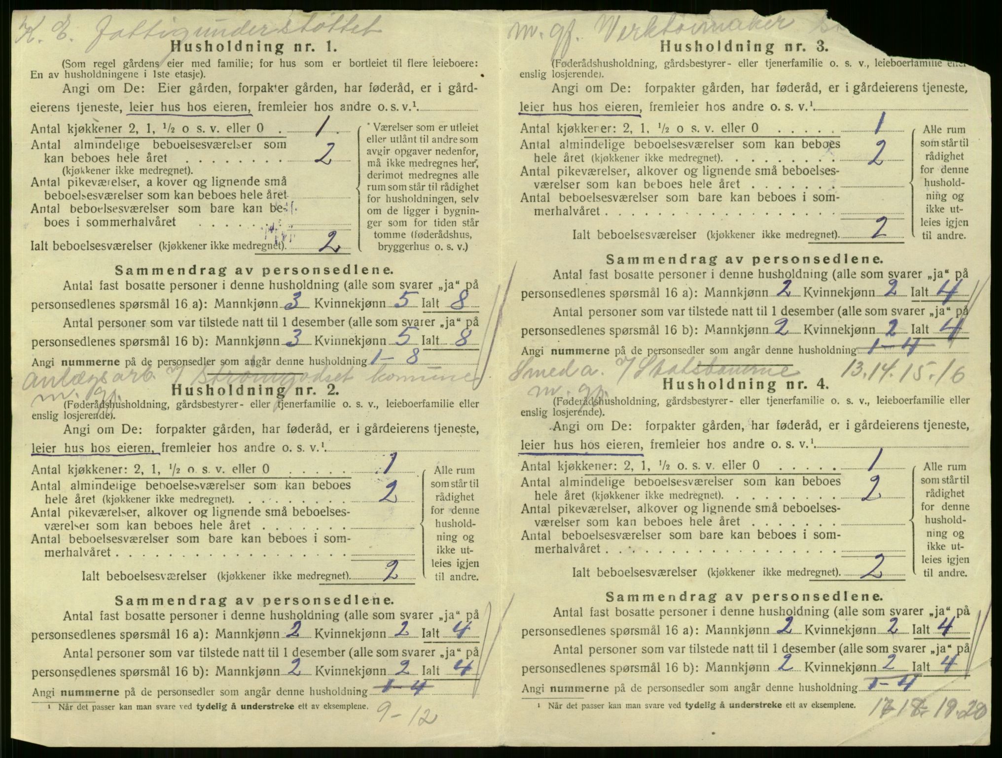 SAKO, 1920 census for Skoger, 1920, p. 250