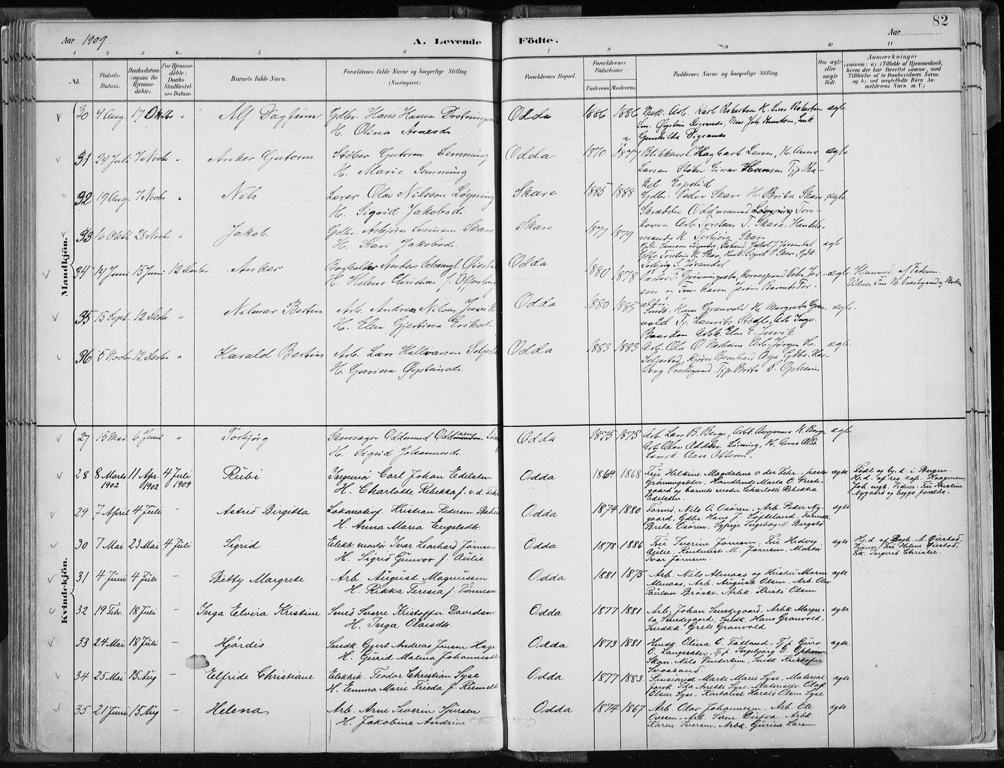 Odda Sokneprestembete, SAB/A-77201/H/Haa: Parish register (official) no. A  3, 1882-1913, p. 82