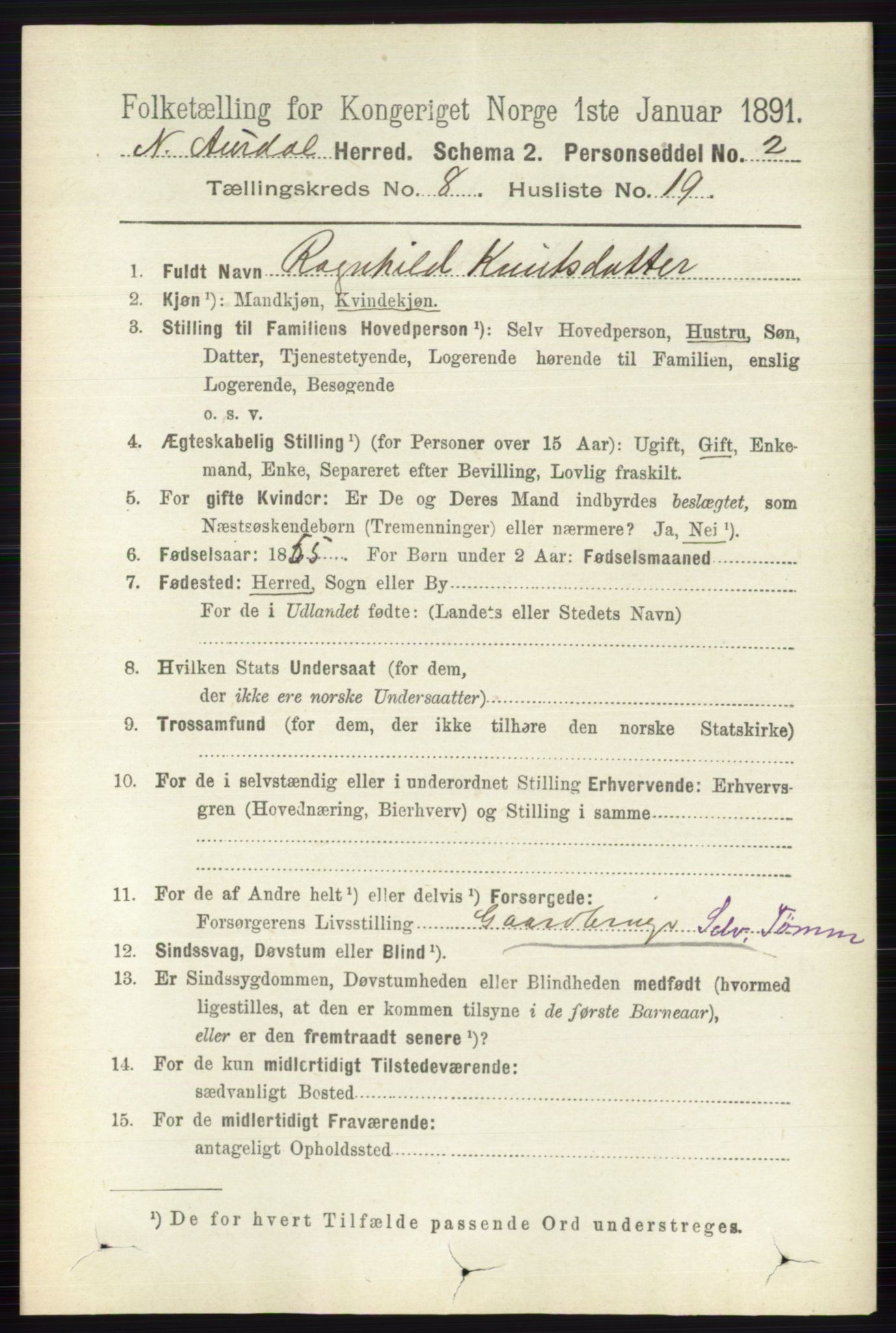 RA, 1891 census for 0542 Nord-Aurdal, 1891, p. 2911