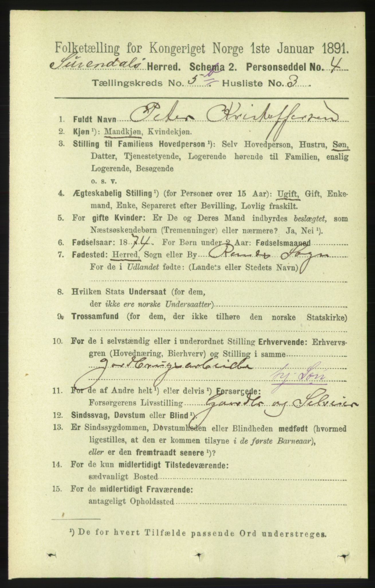 RA, 1891 census for 1566 Surnadal, 1891, p. 1505