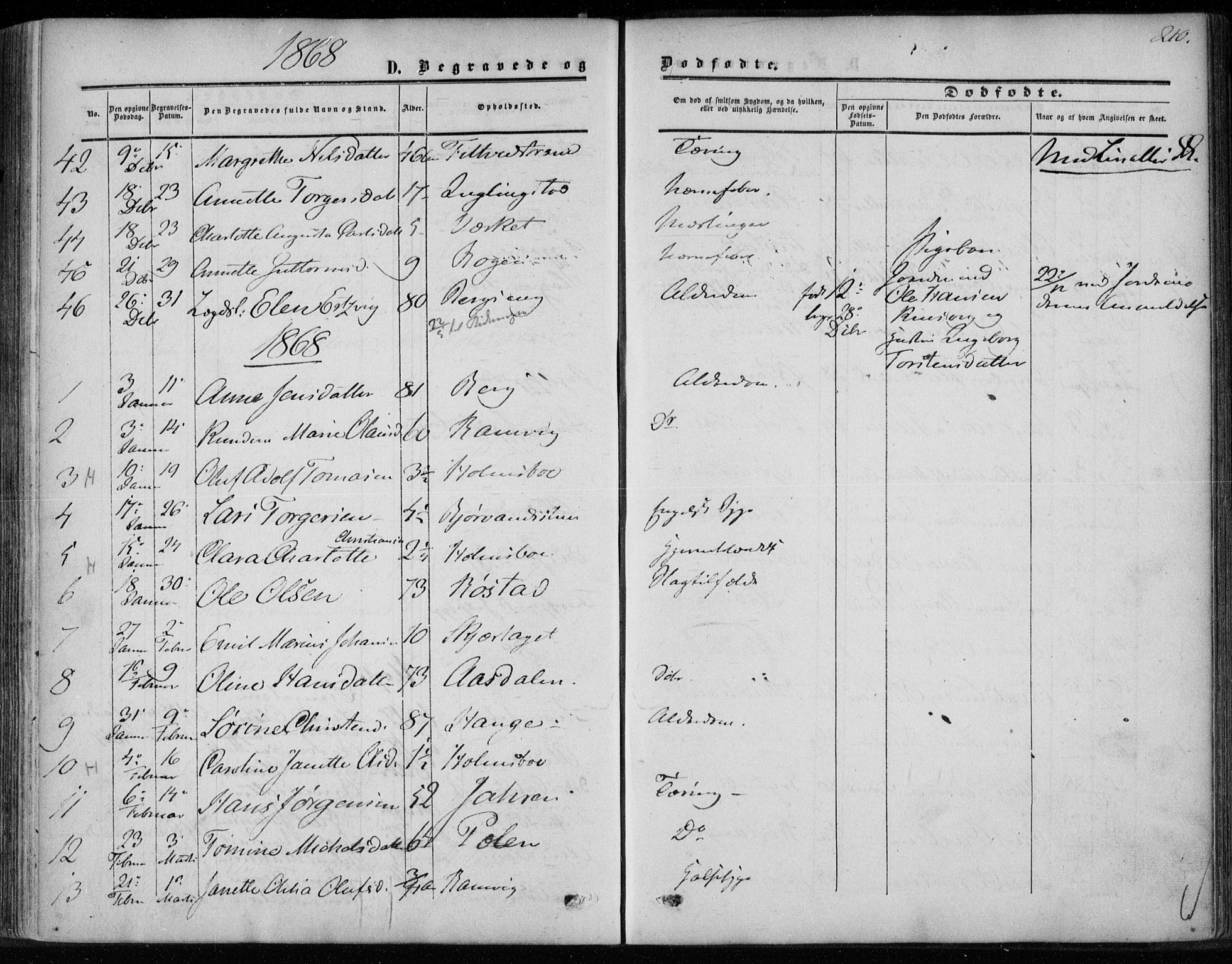 Hurum kirkebøker, AV/SAKO-A-229/F/Fa/L0012: Parish register (official) no. 12, 1861-1875, p. 210