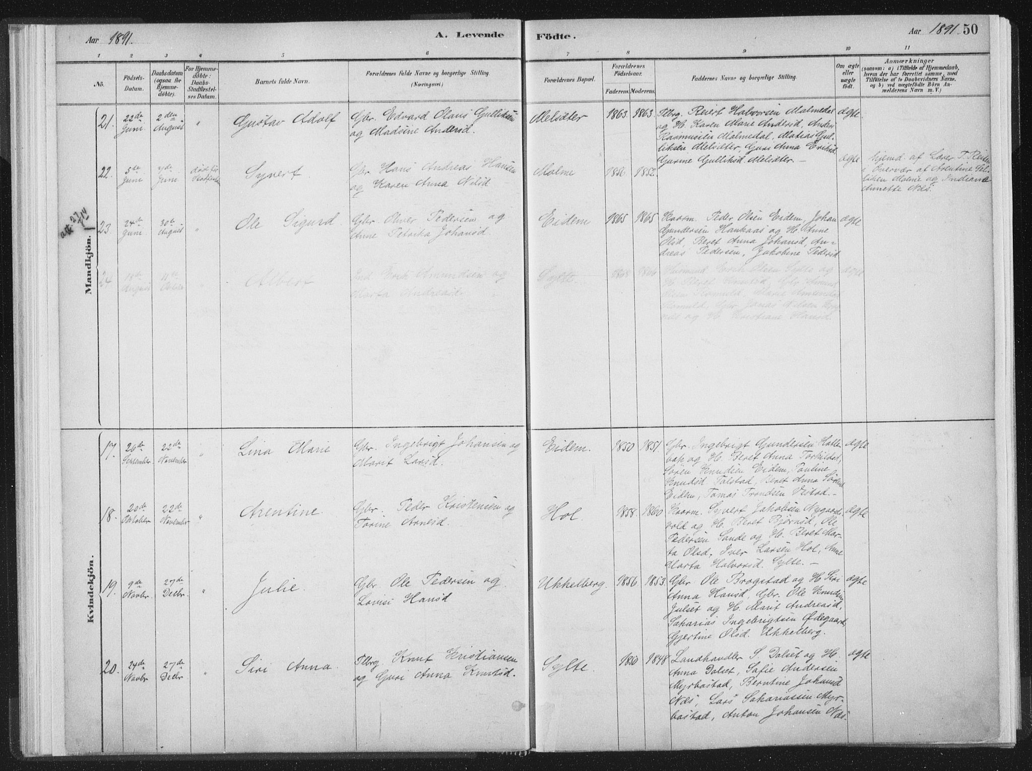 Ministerialprotokoller, klokkerbøker og fødselsregistre - Møre og Romsdal, AV/SAT-A-1454/564/L0740: Parish register (official) no. 564A01, 1880-1899, p. 50