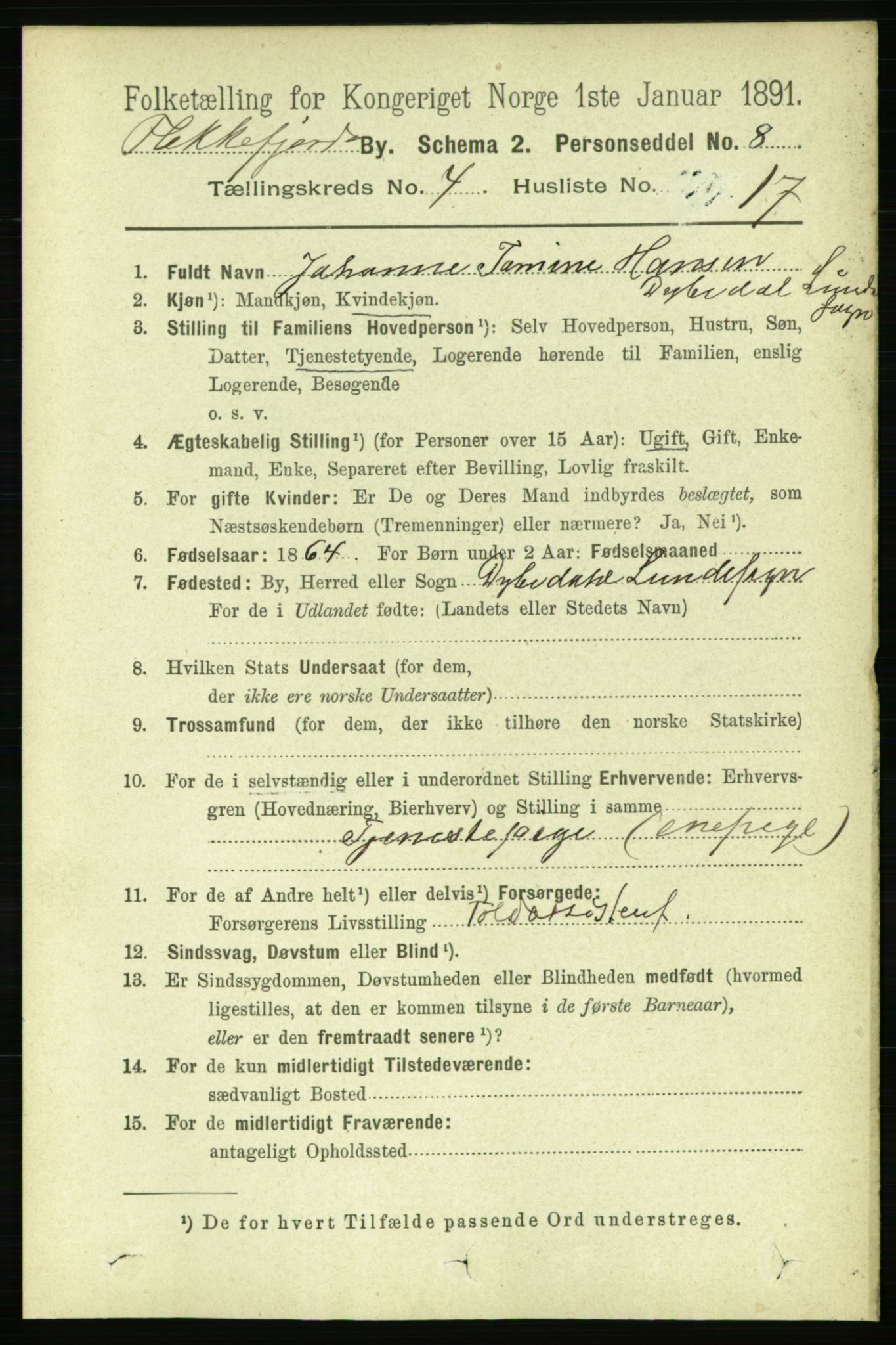 RA, 1891 census for 1004 Flekkefjord, 1891, p. 1114