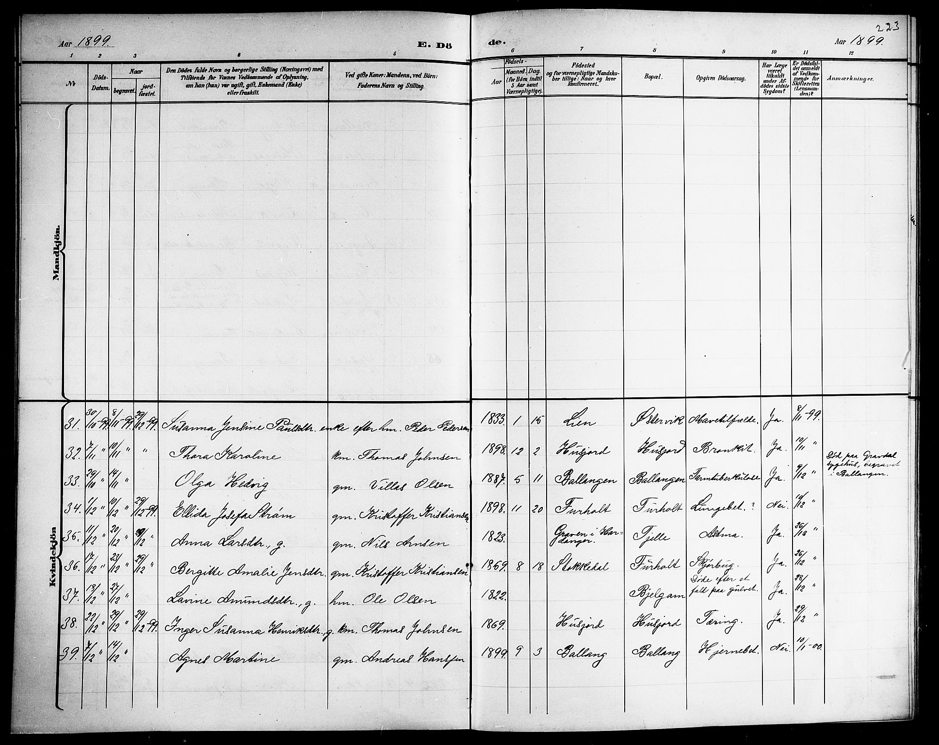 Ministerialprotokoller, klokkerbøker og fødselsregistre - Nordland, SAT/A-1459/863/L0915: Parish register (copy) no. 863C05, 1898-1907, p. 223