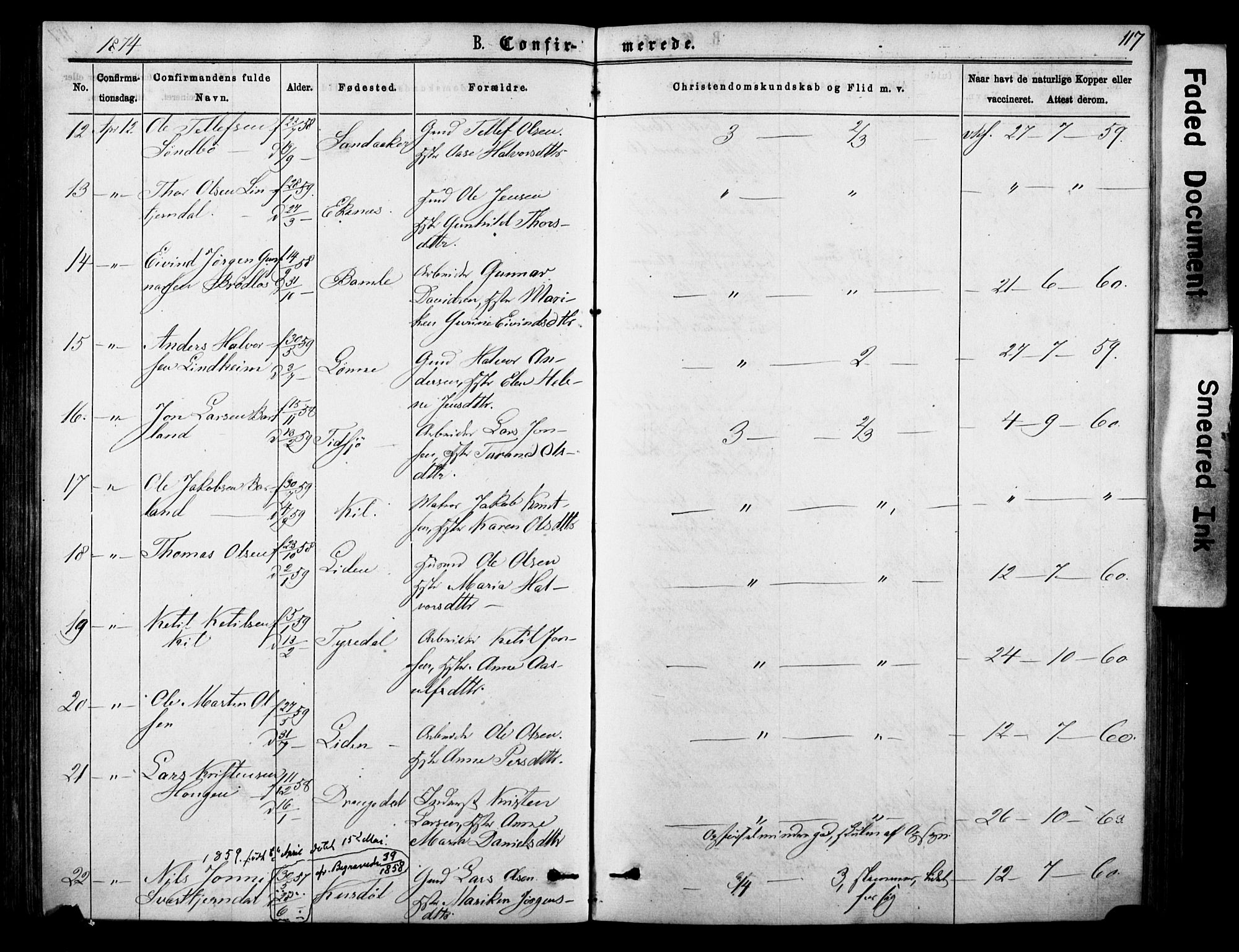 Sannidal kirkebøker, SAKO/A-296/F/Fa/L0014: Parish register (official) no. 14, 1874-1883, p. 117