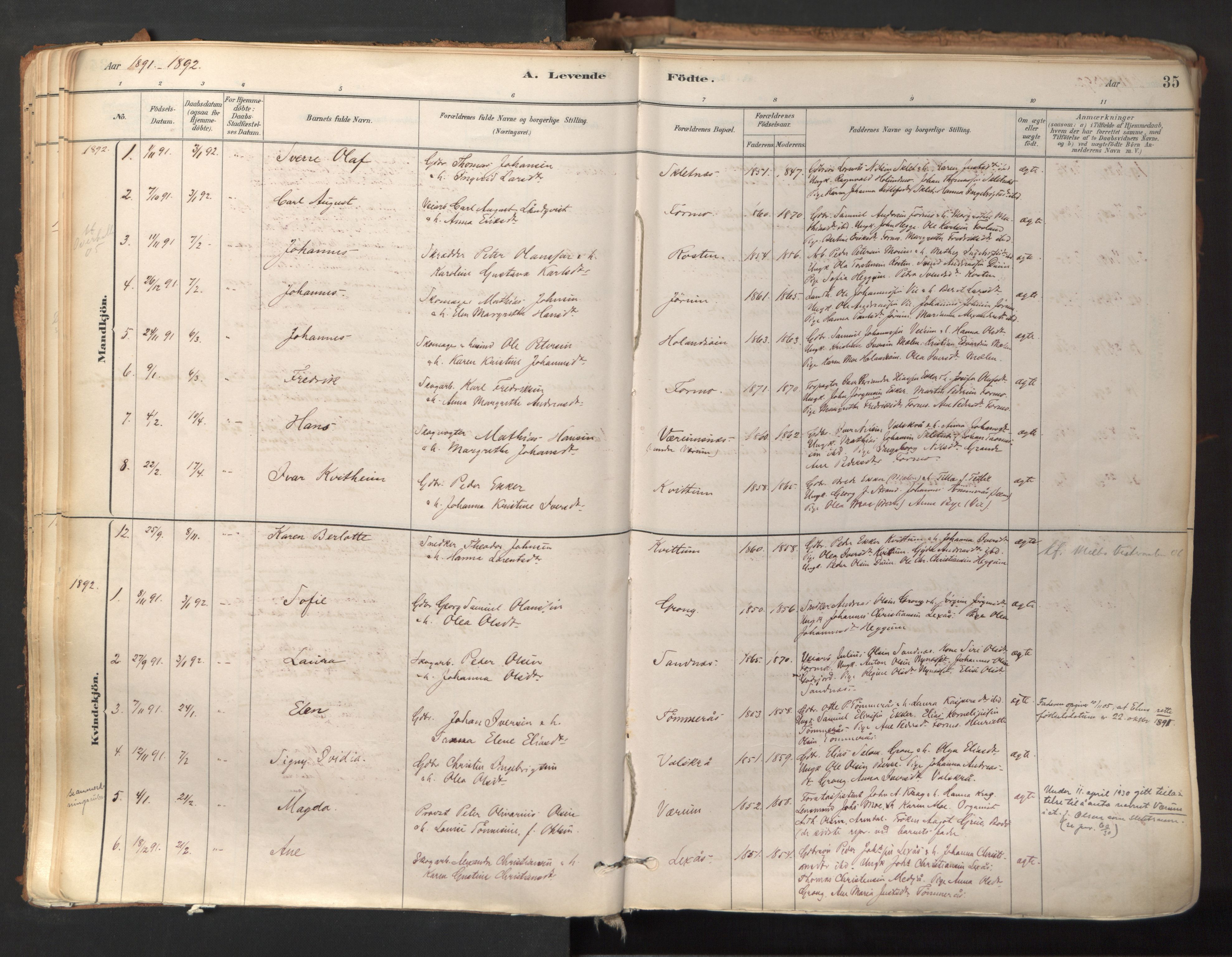 Ministerialprotokoller, klokkerbøker og fødselsregistre - Nord-Trøndelag, SAT/A-1458/758/L0519: Parish register (official) no. 758A04, 1880-1926, p. 35