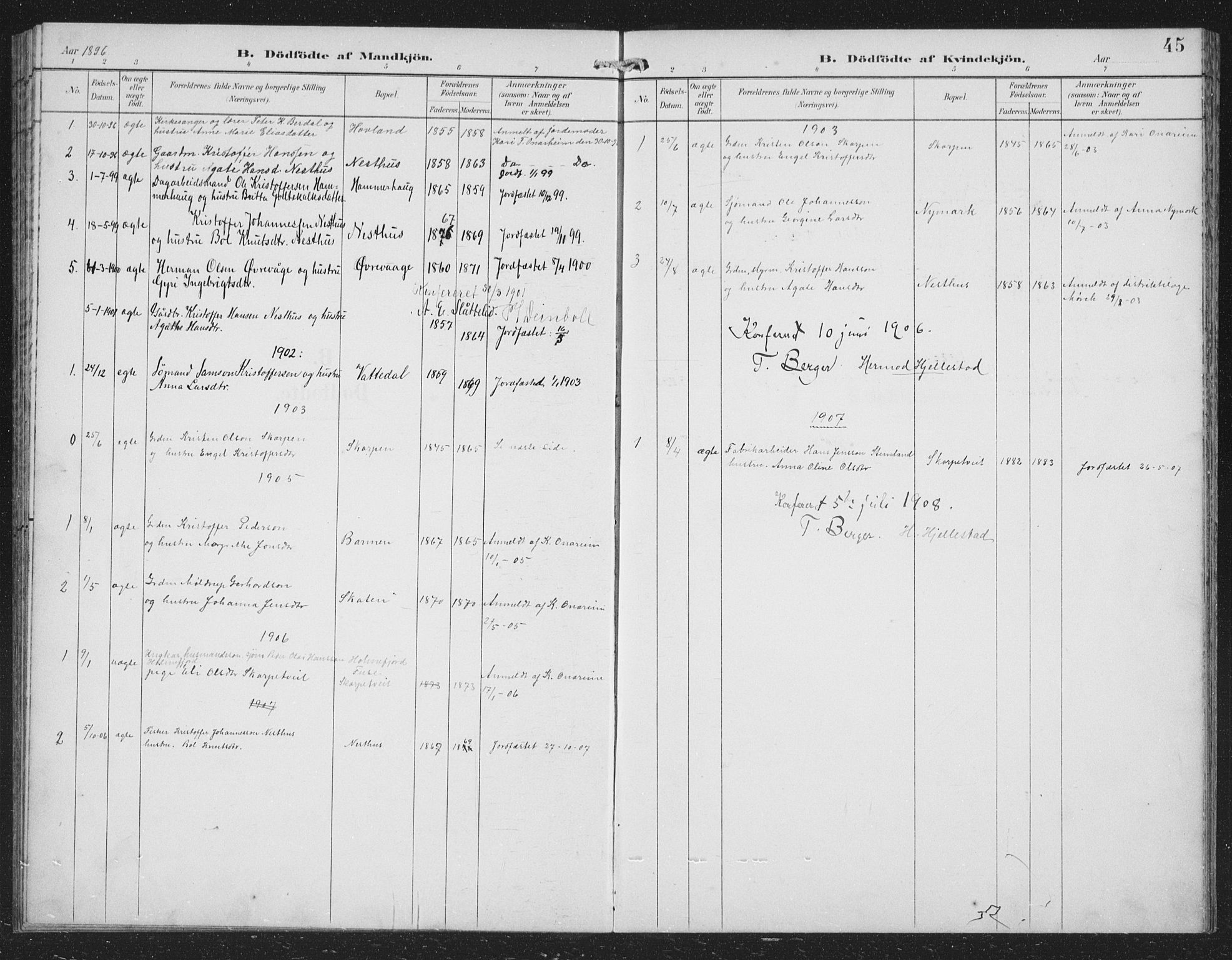 Tysnes sokneprestembete, AV/SAB-A-78601/H/Hab: Parish register (copy) no. C 2, 1896-1907, p. 45