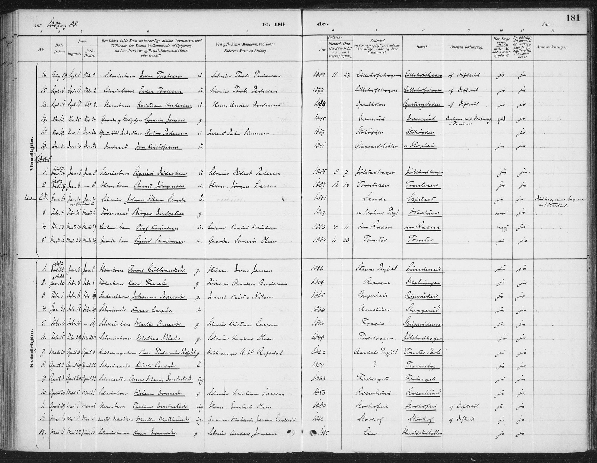 Romedal prestekontor, SAH/PREST-004/K/L0008: Parish register (official) no. 8, 1887-1905, p. 181