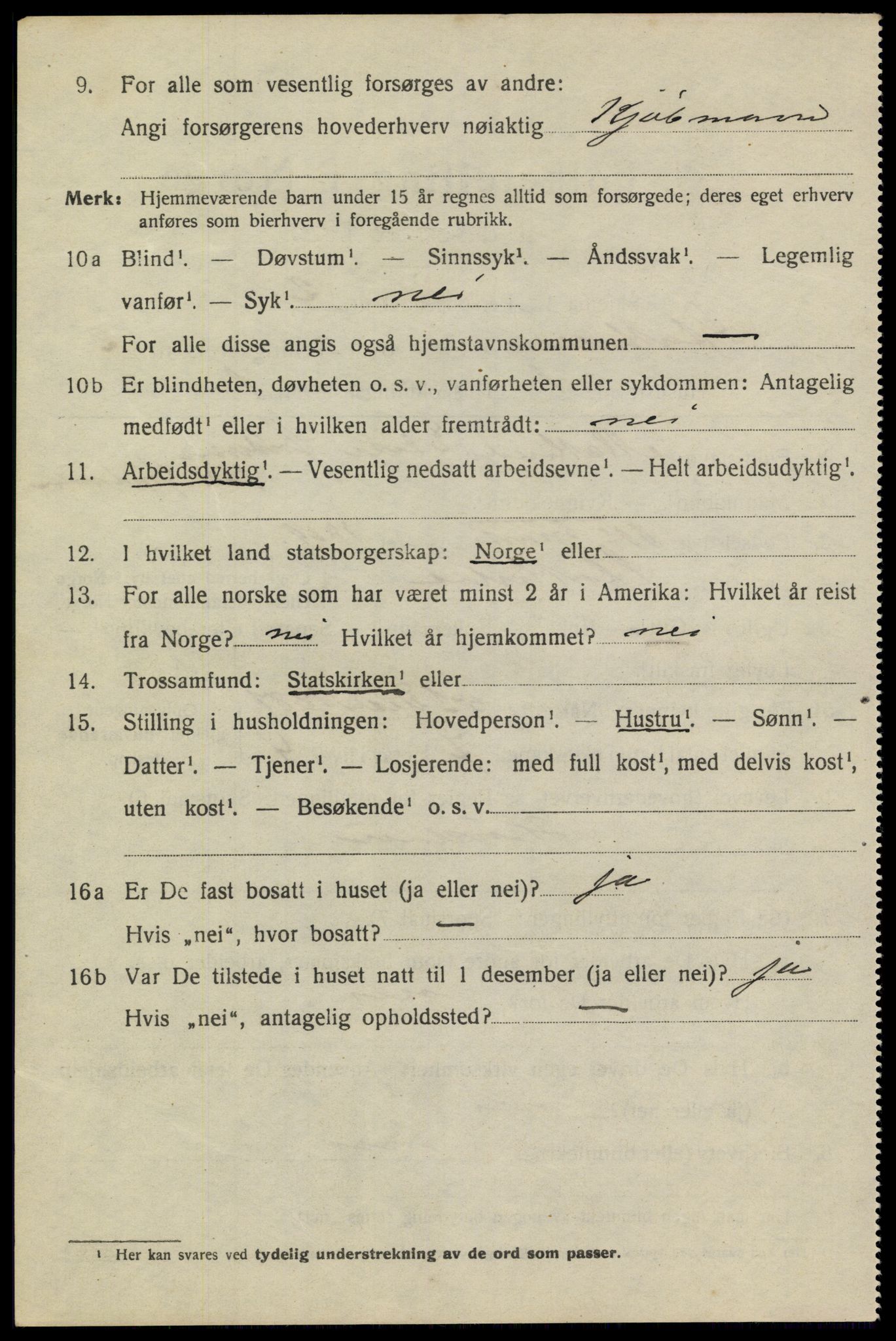 SAKO, 1920 census for Stathelle, 1920, p. 1066