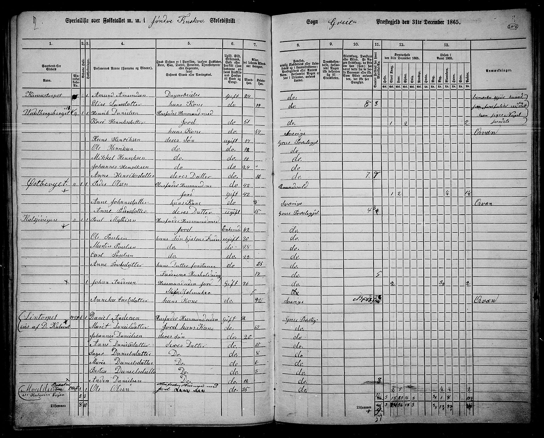 RA, 1865 census for Grue, 1865, p. 217