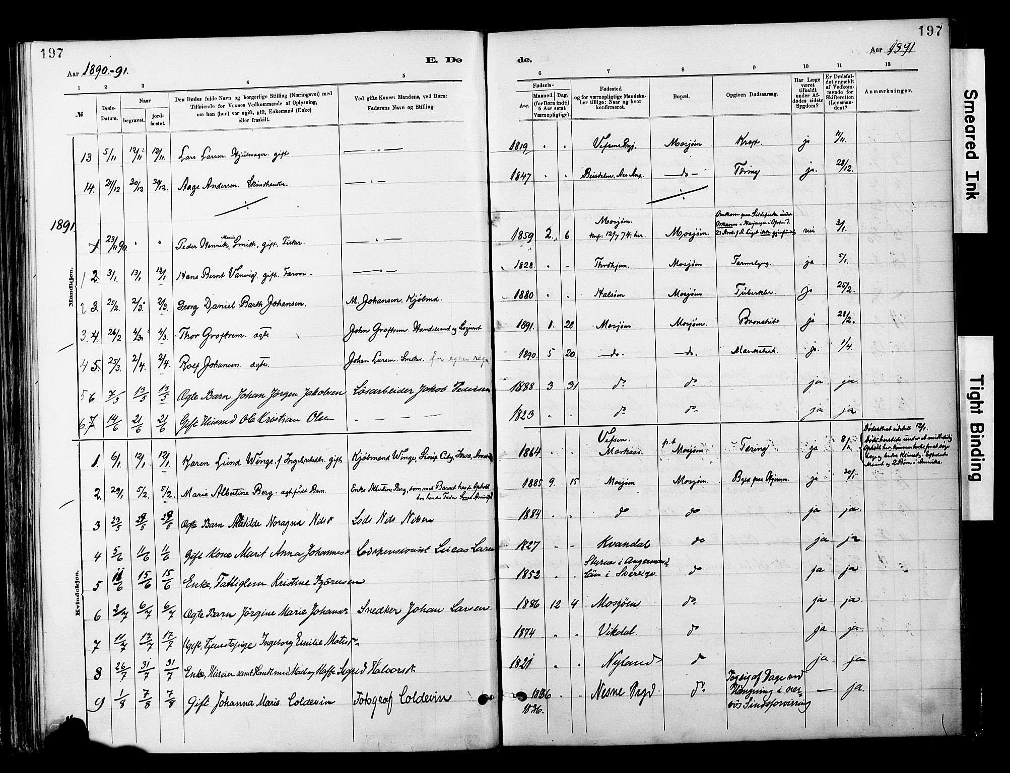 Ministerialprotokoller, klokkerbøker og fødselsregistre - Nordland, SAT/A-1459/820/L0296: Parish register (official) no. 820A17, 1880-1903, p. 197