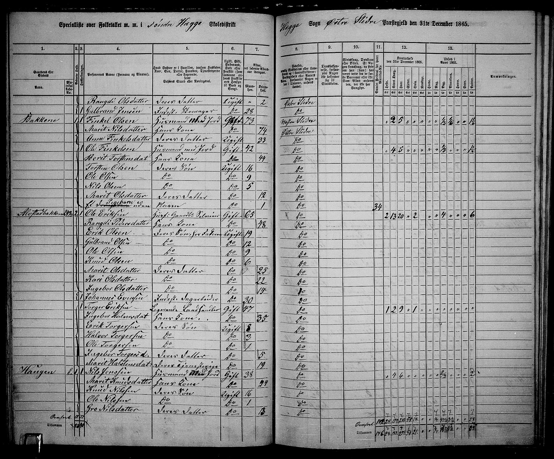 RA, 1865 census for Øystre Slidre, 1865, p. 51