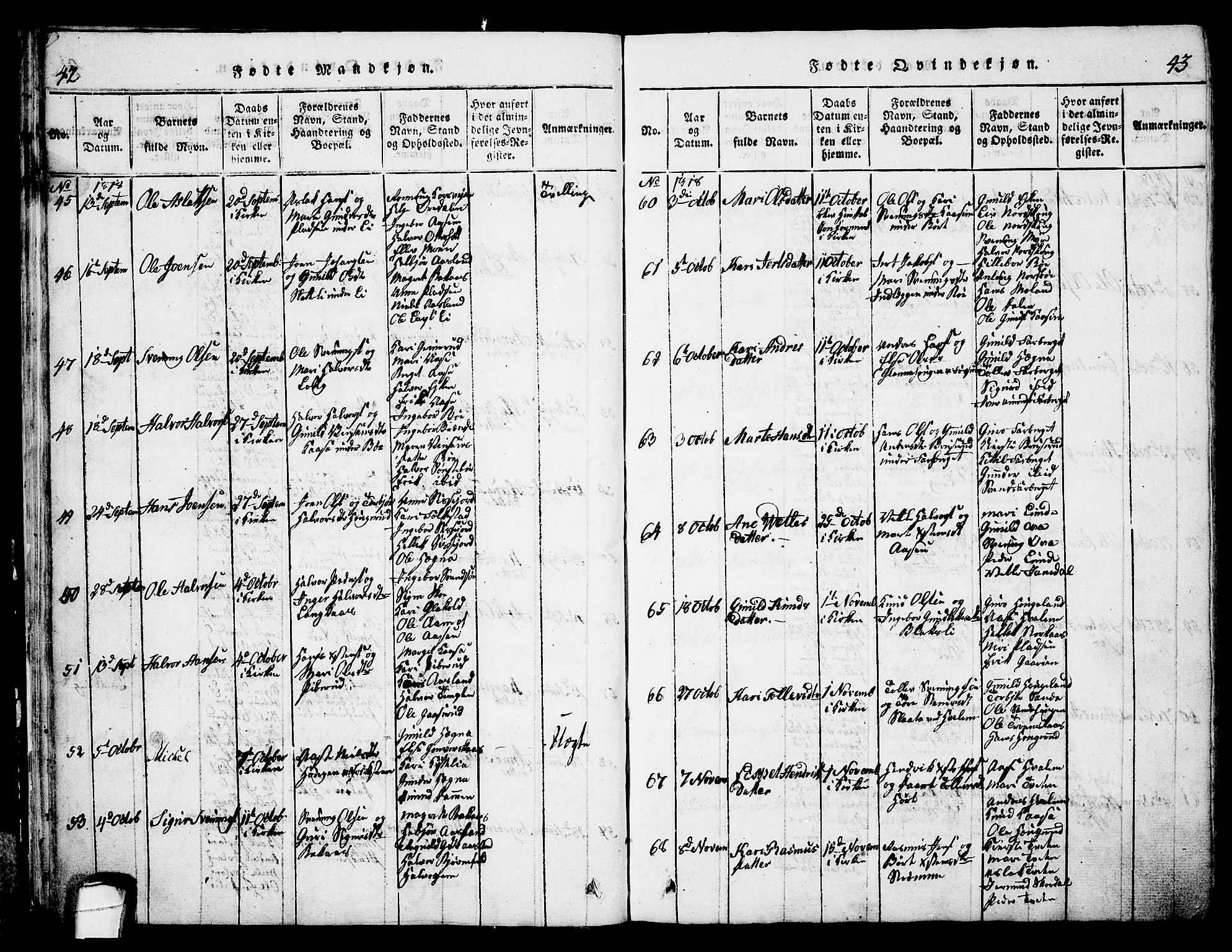 Bø kirkebøker, AV/SAKO-A-257/G/Ga/L0001: Parish register (copy) no. 1, 1815-1831, p. 42-43