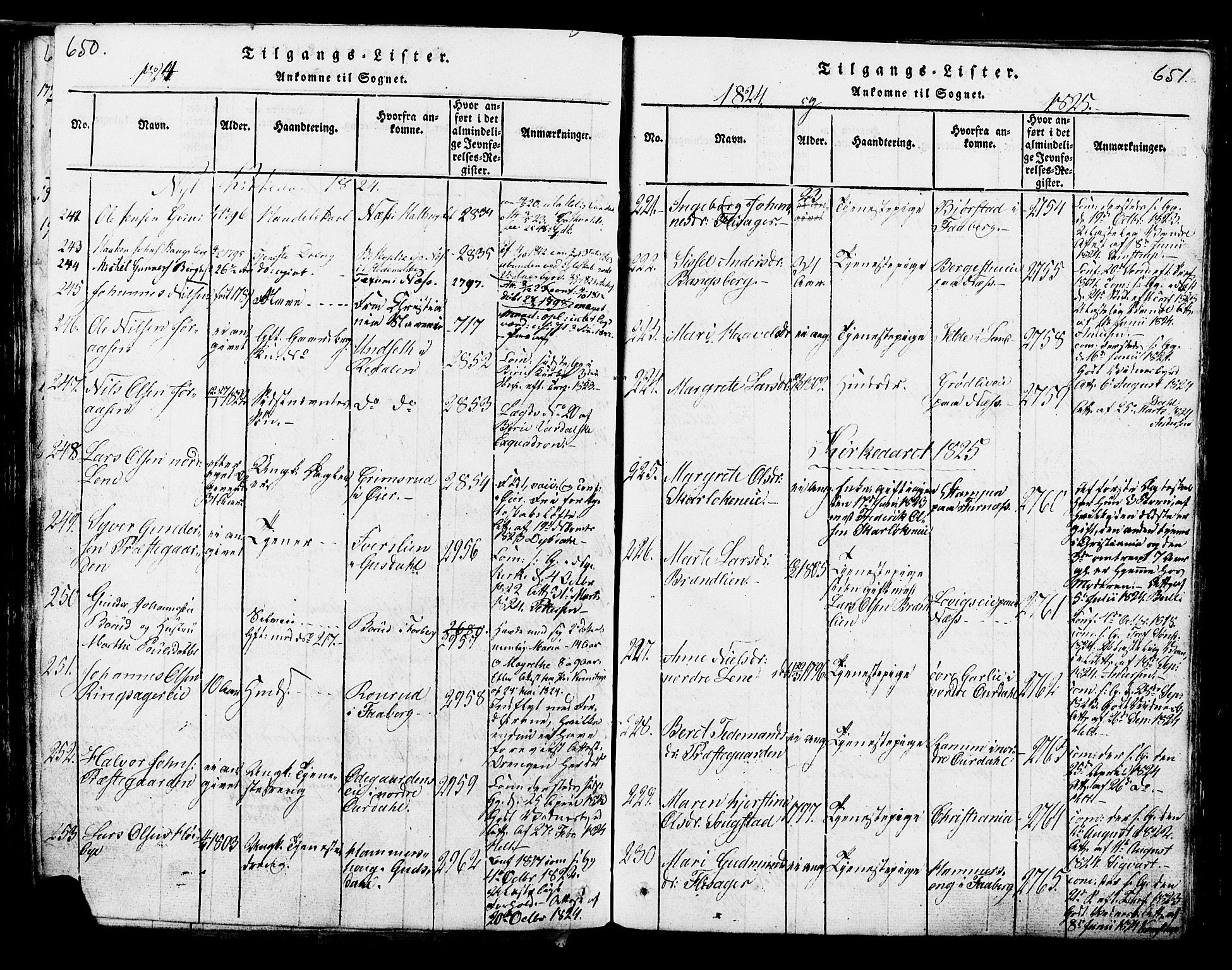 Ringsaker prestekontor, AV/SAH-PREST-014/K/Ka/L0005: Parish register (official) no. 5, 1814-1826, p. 650-651