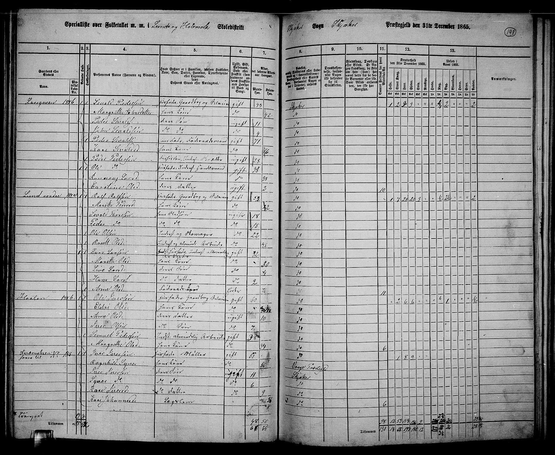 RA, 1865 census for Skjåk, 1865, p. 50