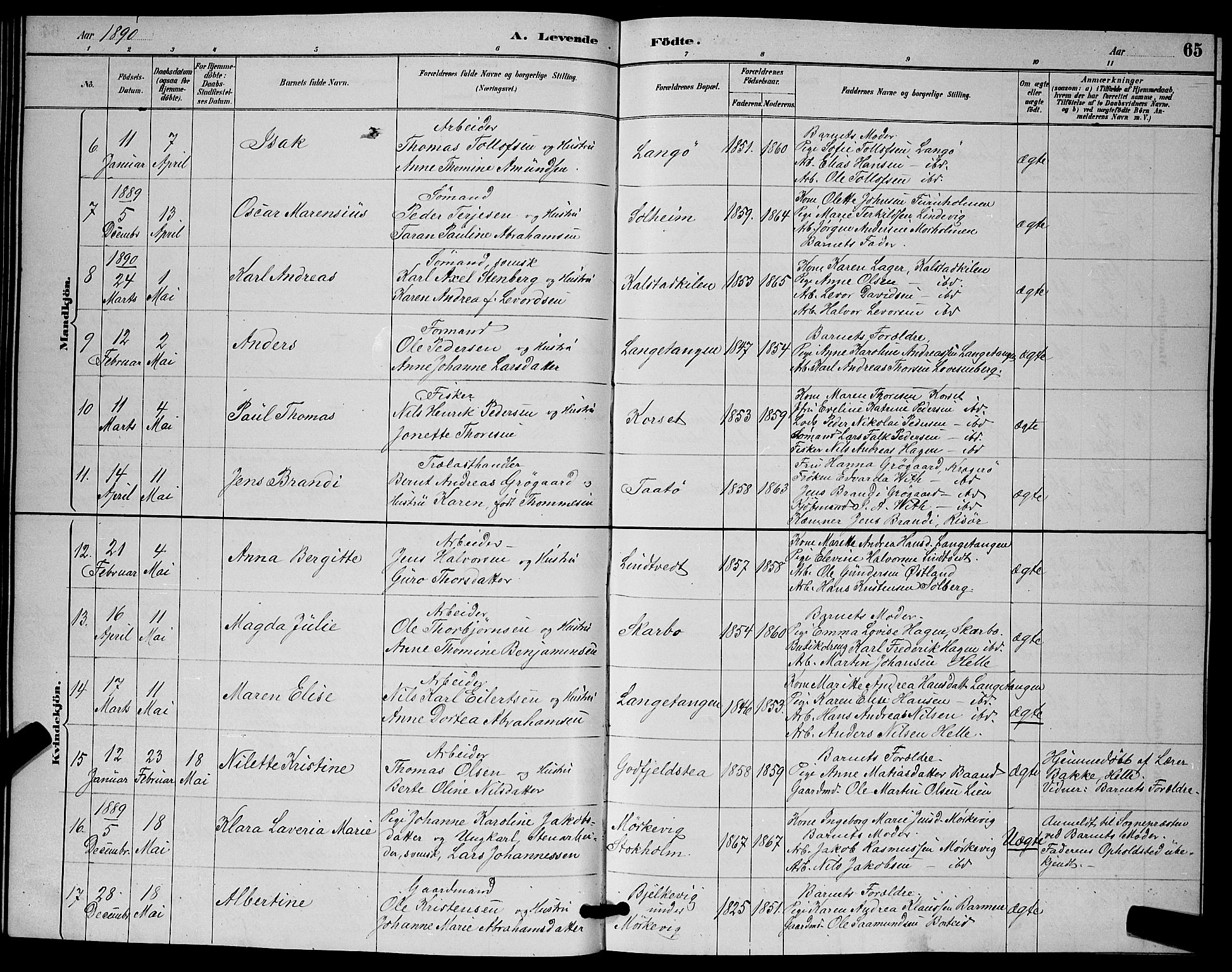 Skåtøy kirkebøker, SAKO/A-304/G/Ga/L0003: Parish register (copy) no. I 3, 1884-1898, p. 65