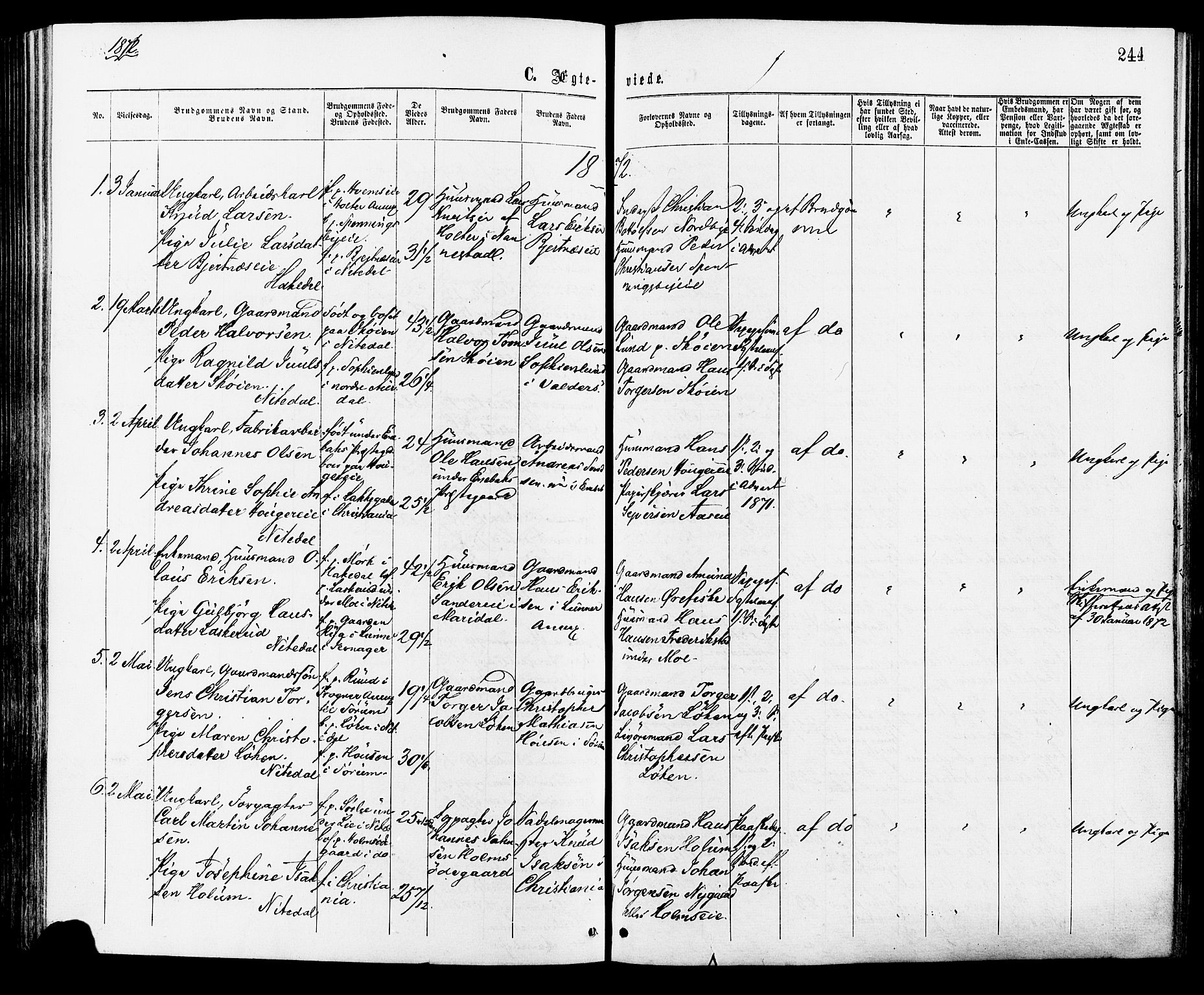 Nittedal prestekontor Kirkebøker, SAO/A-10365a/F/Fa/L0006: Parish register (official) no. I 6, 1863-1878, p. 244