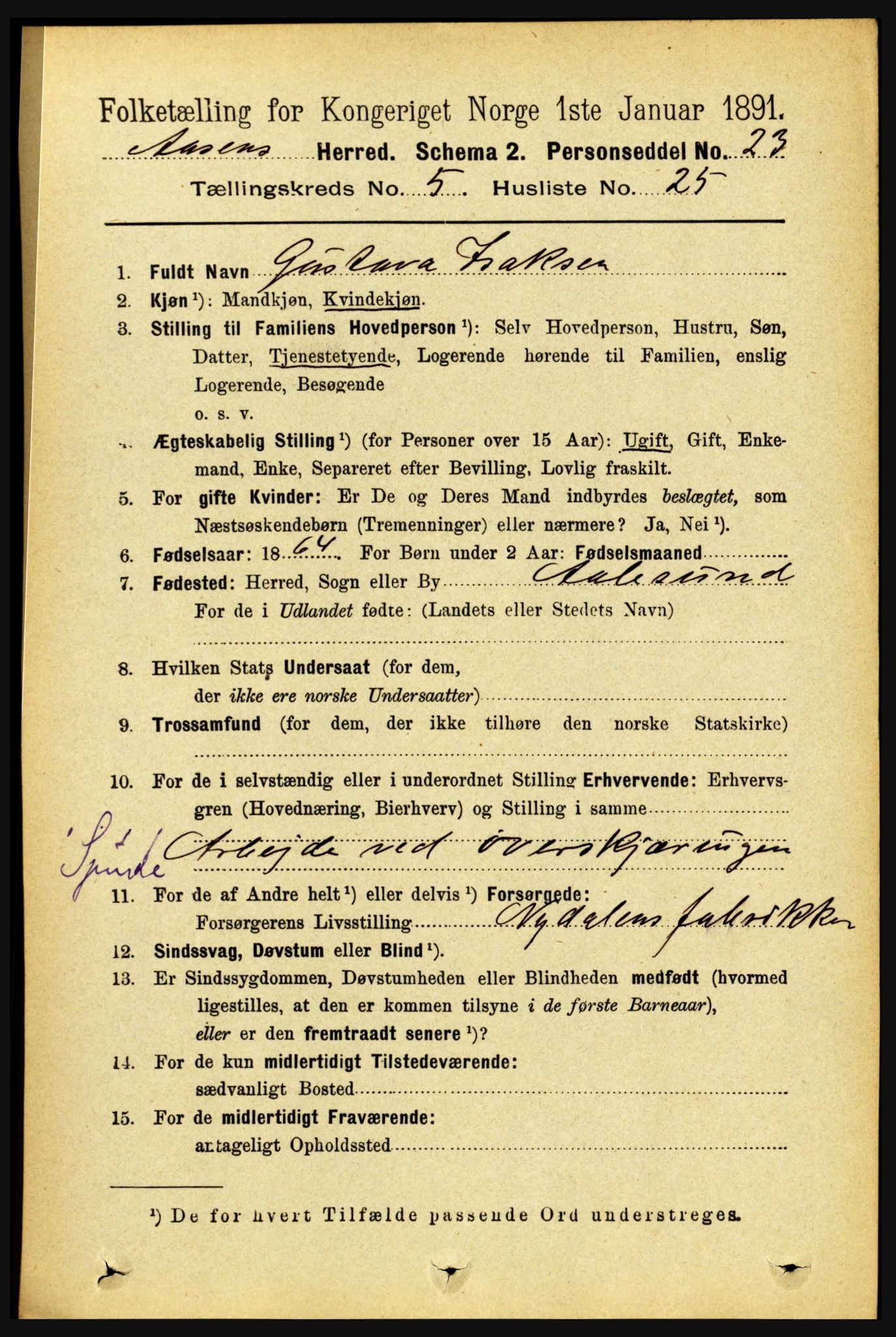 RA, 1891 census for 1716 Åsen, 1891, p. 2107