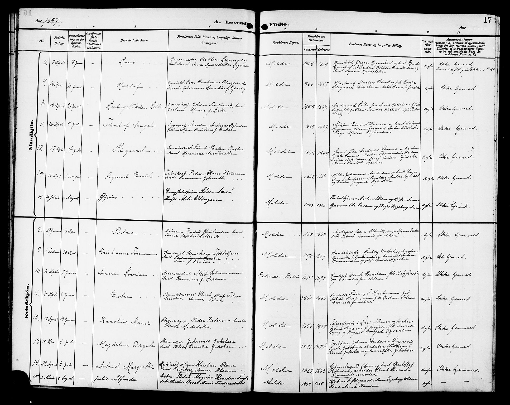 Ministerialprotokoller, klokkerbøker og fødselsregistre - Møre og Romsdal, AV/SAT-A-1454/558/L0702: Parish register (copy) no. 558C03, 1894-1915, p. 17