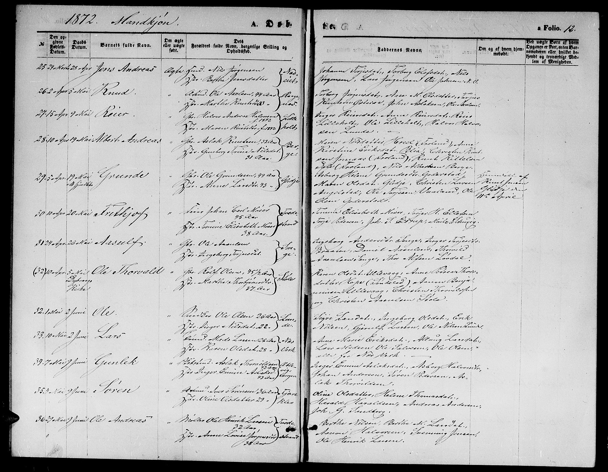 Holt sokneprestkontor, AV/SAK-1111-0021/F/Fb/L0009: Parish register (copy) no. B 9, 1871-1883, p. 12