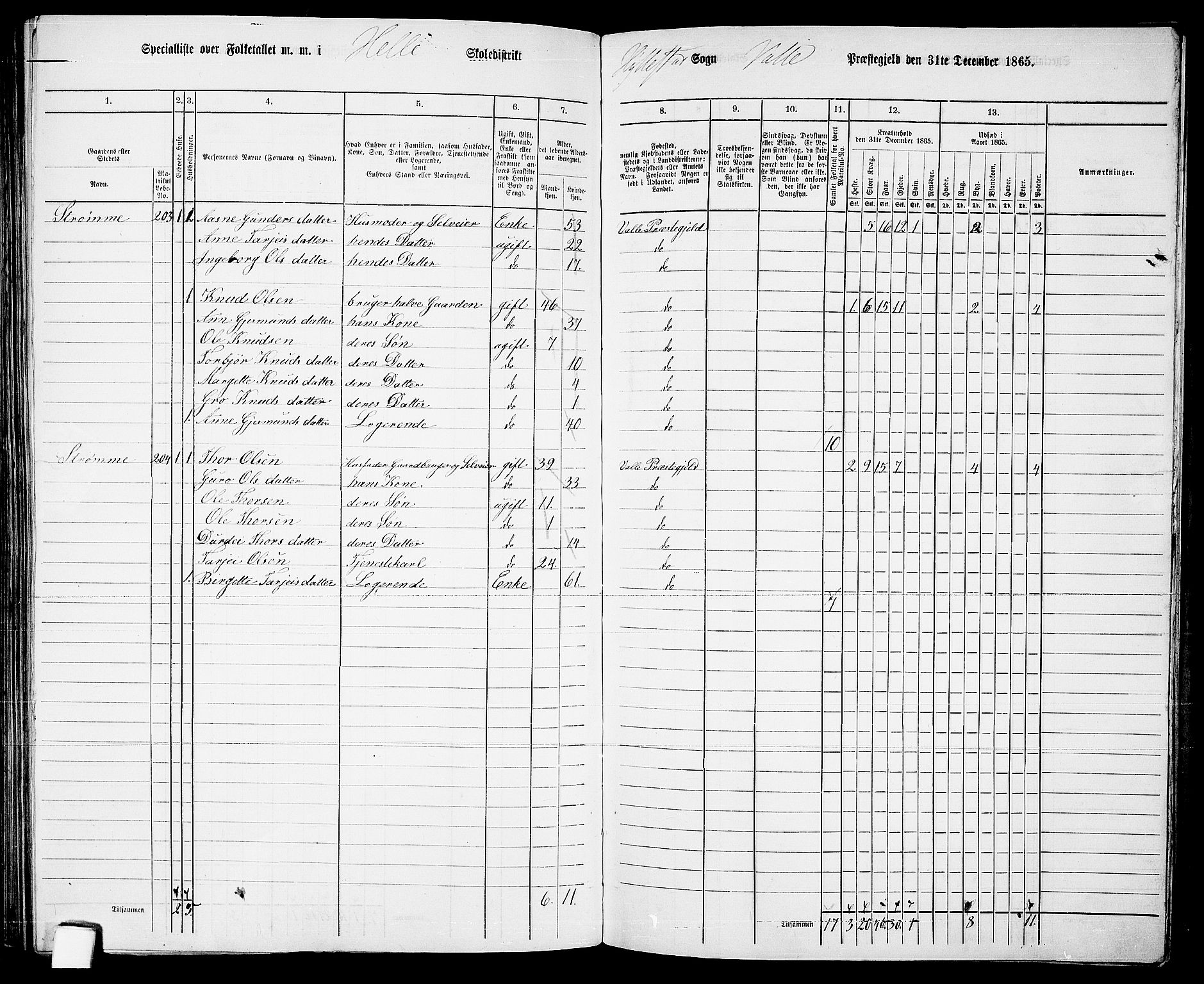 RA, 1865 census for Valle, 1865, p. 133