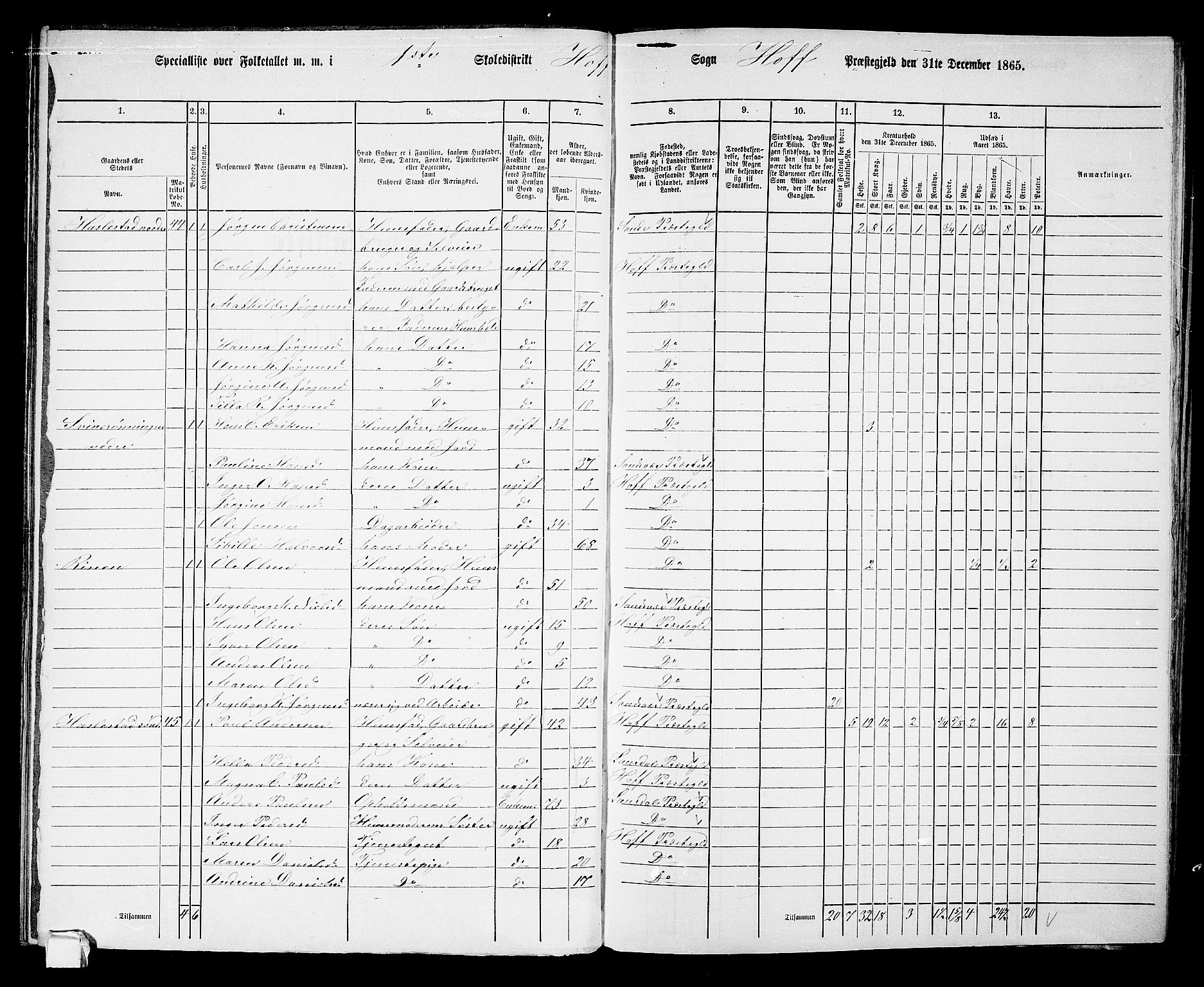 RA, 1865 census for Hof, 1865, p. 37