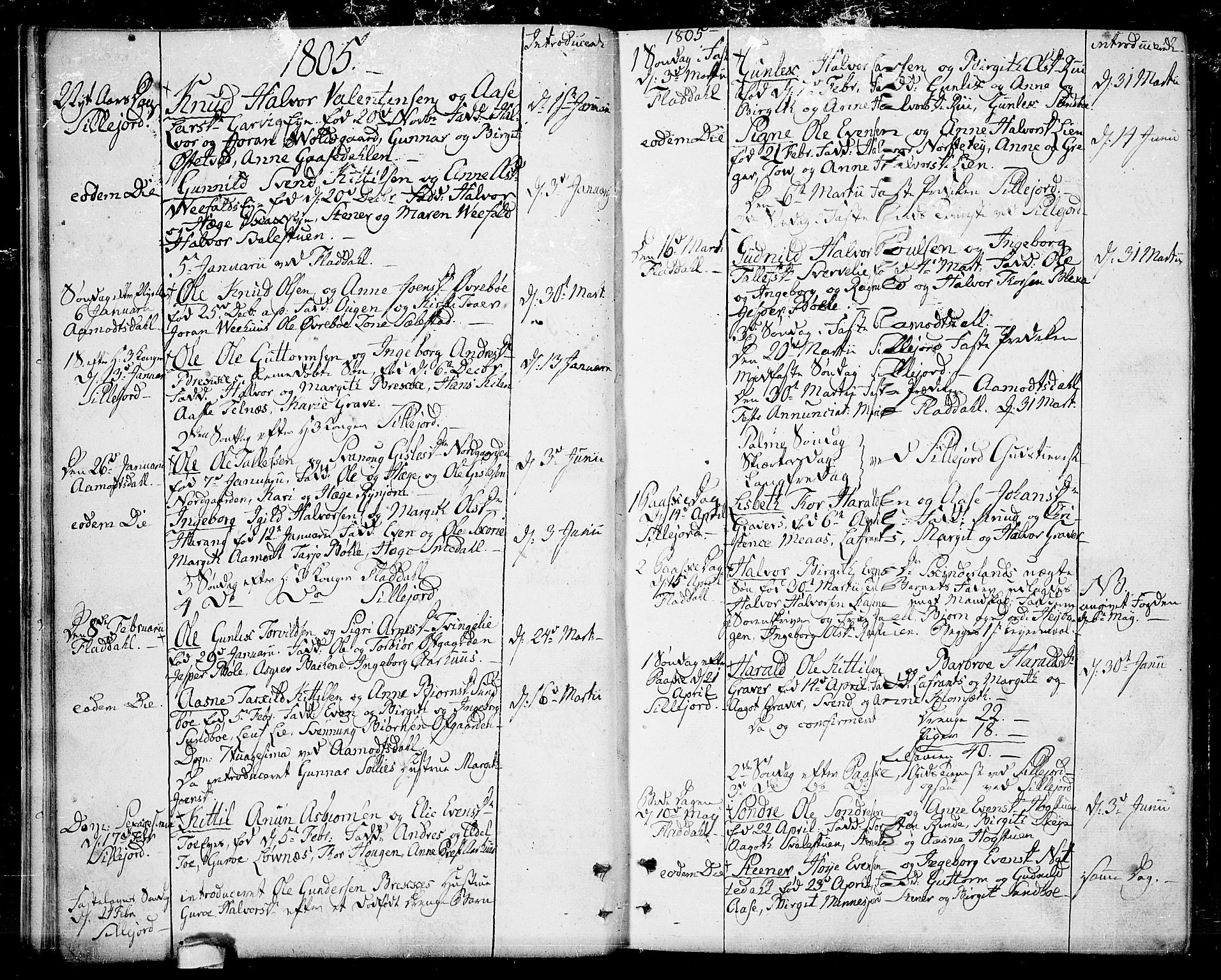Seljord kirkebøker, SAKO/A-20/F/Fa/L0009: Parish register (official) no. I 9, 1801-1814, p. 19