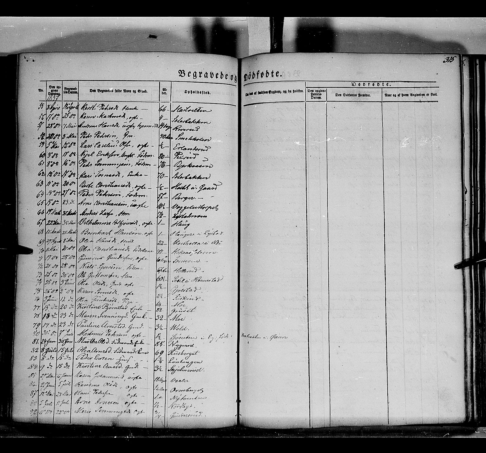 Grue prestekontor, AV/SAH-PREST-036/H/Ha/Haa/L0008: Parish register (official) no. 8, 1847-1858, p. 315