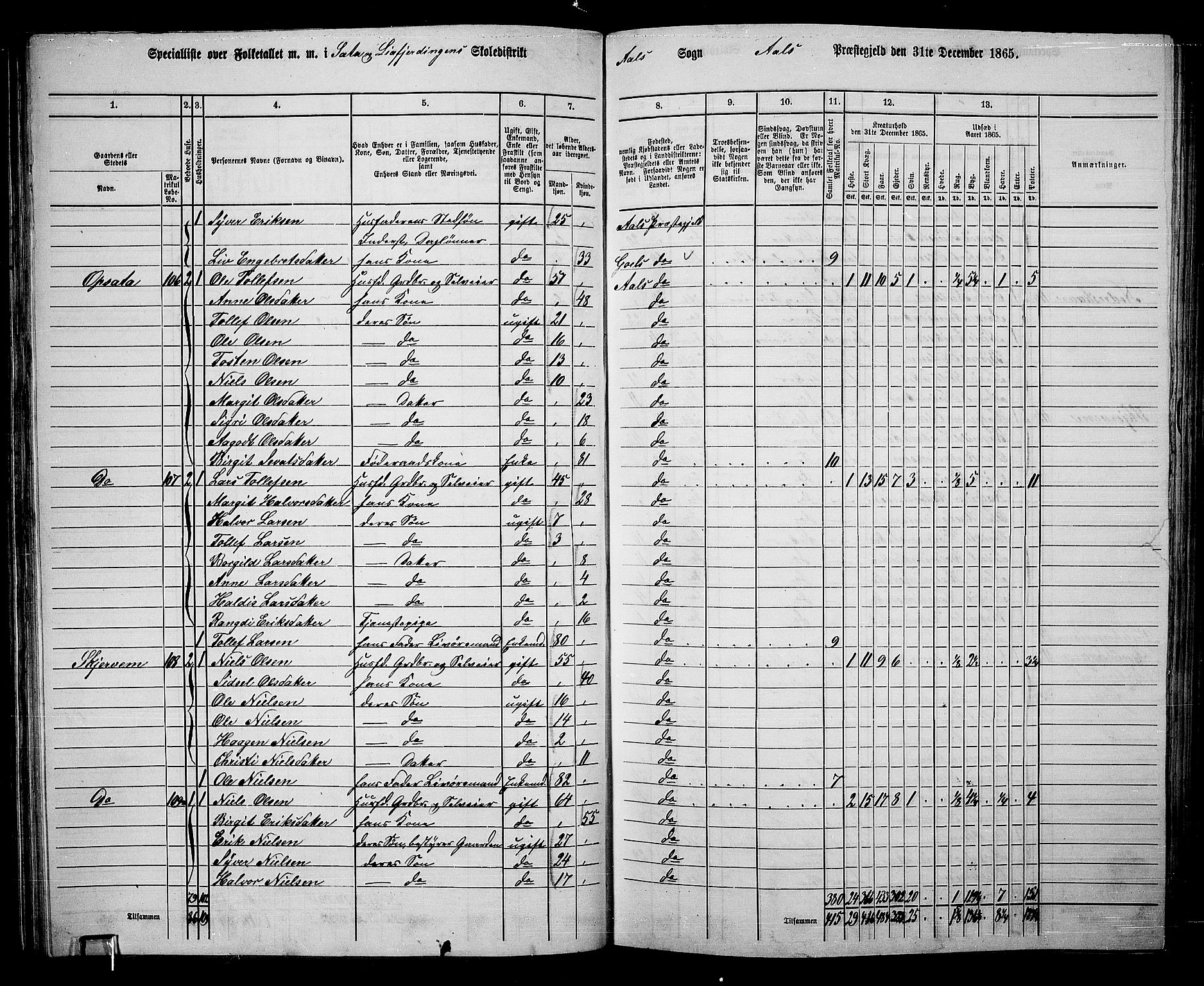 RA, 1865 census for Ål, 1865, p. 70