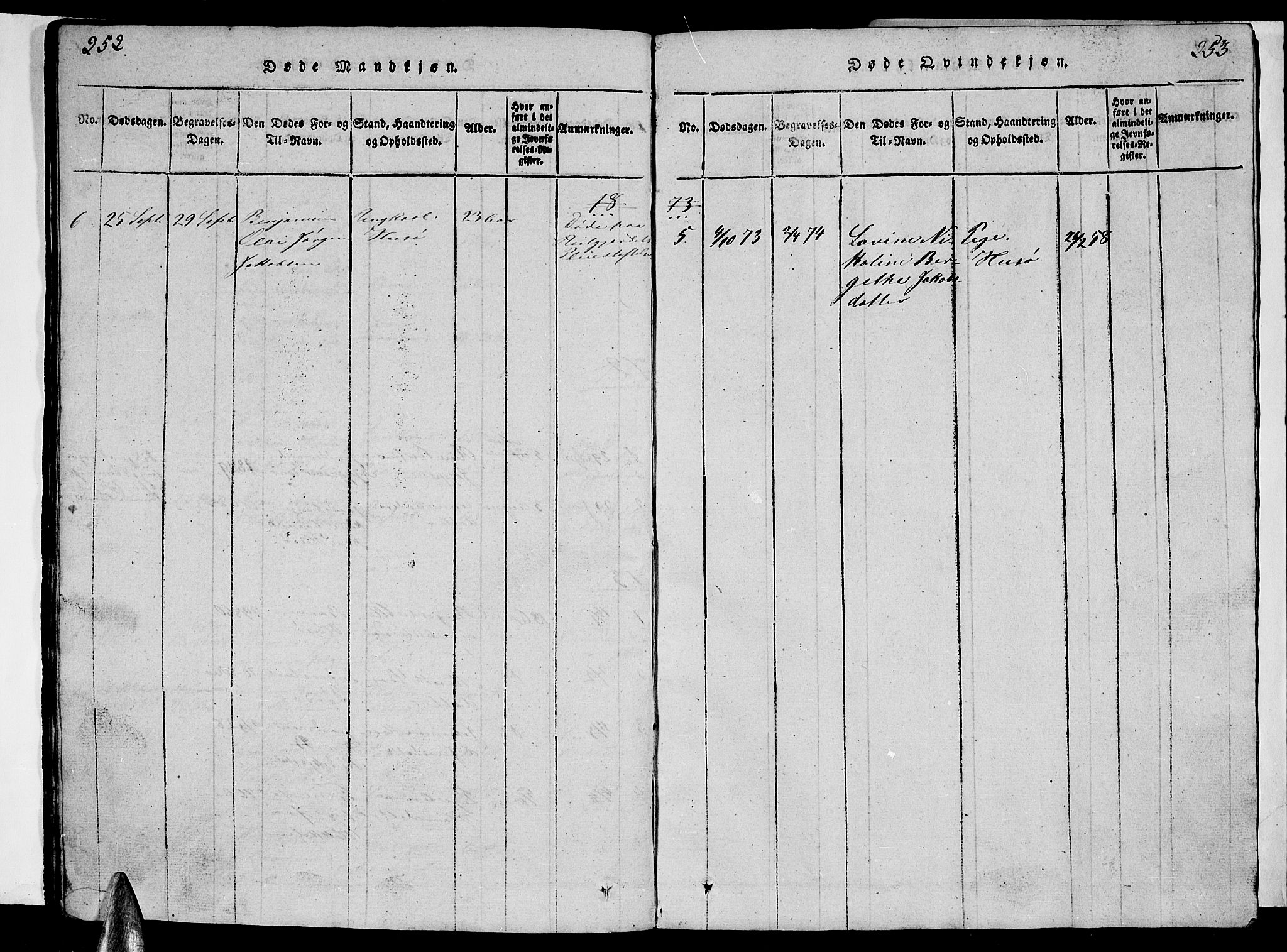 Ministerialprotokoller, klokkerbøker og fødselsregistre - Nordland, SAT/A-1459/840/L0581: Parish register (copy) no. 840C01, 1820-1873, p. 252-253