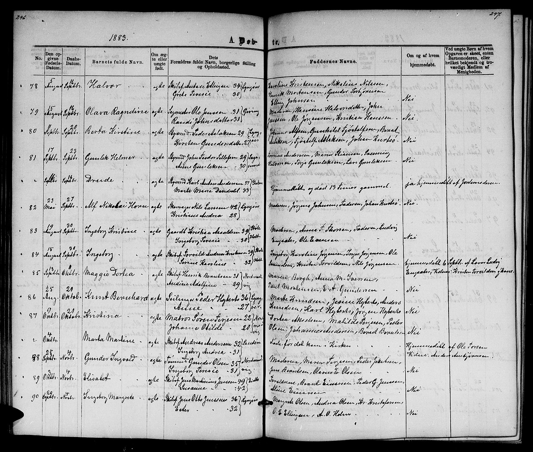 Dypvåg sokneprestkontor, SAK/1111-0007/F/Fb/Fba/L0012: Parish register (copy) no. B 12, 1872-1886, p. 246-247