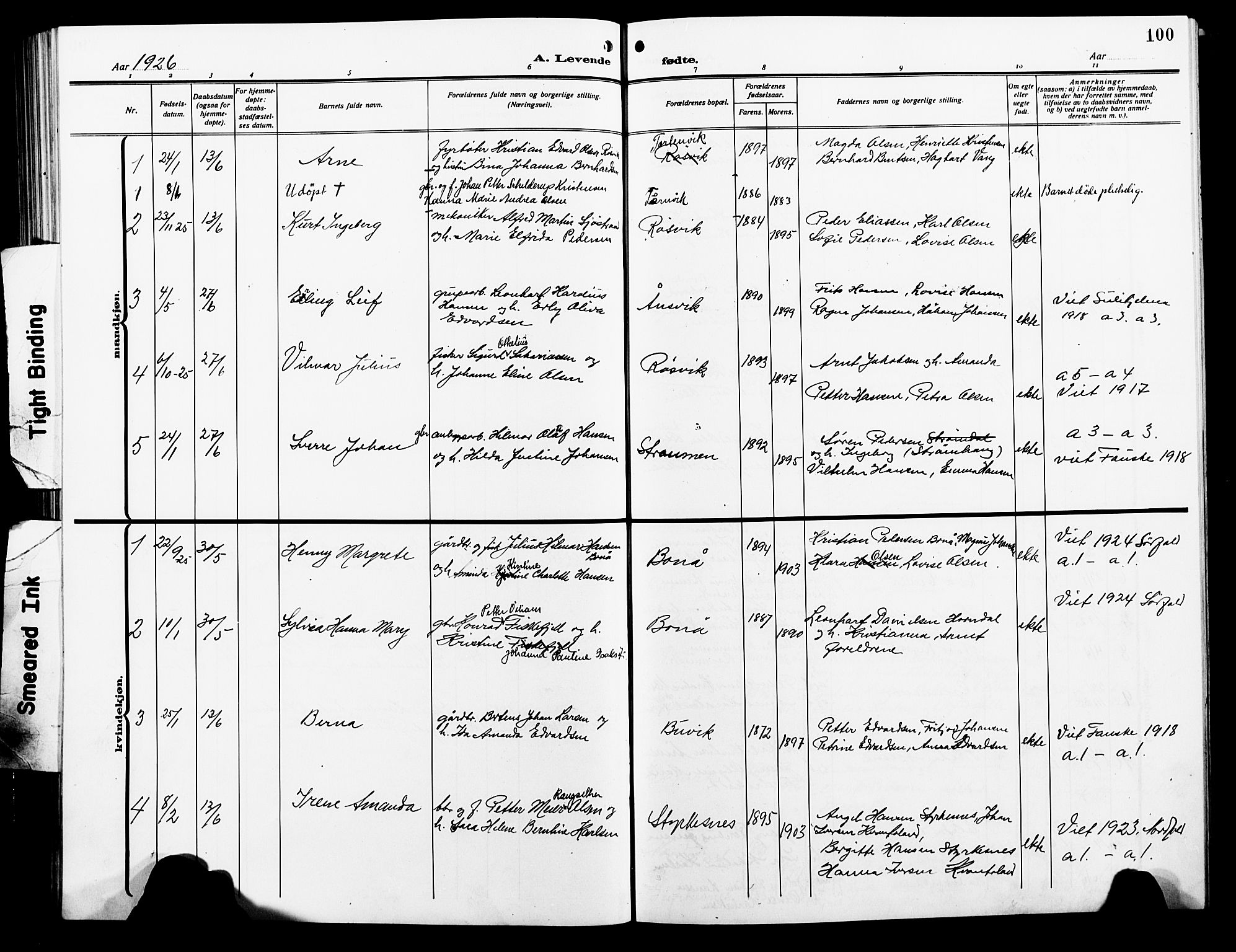 Ministerialprotokoller, klokkerbøker og fødselsregistre - Nordland, AV/SAT-A-1459/854/L0787: Parish register (copy) no. 854C03, 1913-1926, p. 100