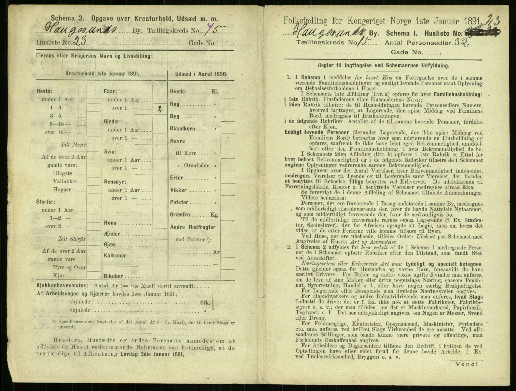 RA, 1891 census for 1106 Haugesund, 1891, p. 1008