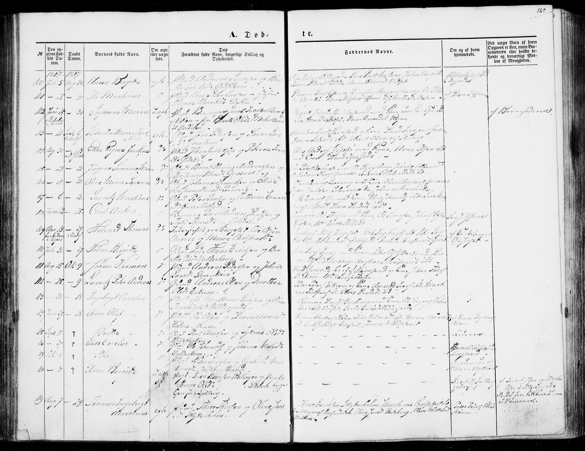 Ministerialprotokoller, klokkerbøker og fødselsregistre - Møre og Romsdal, AV/SAT-A-1454/528/L0397: Parish register (official) no. 528A08, 1848-1858, p. 120