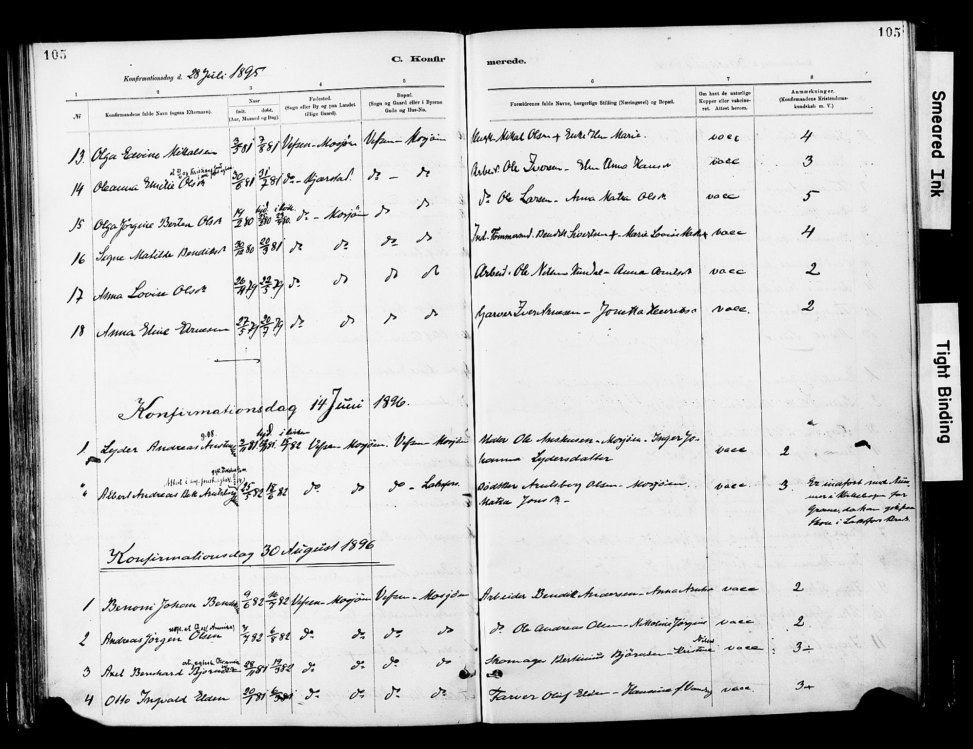 Ministerialprotokoller, klokkerbøker og fødselsregistre - Nordland, SAT/A-1459/820/L0296: Parish register (official) no. 820A17, 1880-1903, p. 105