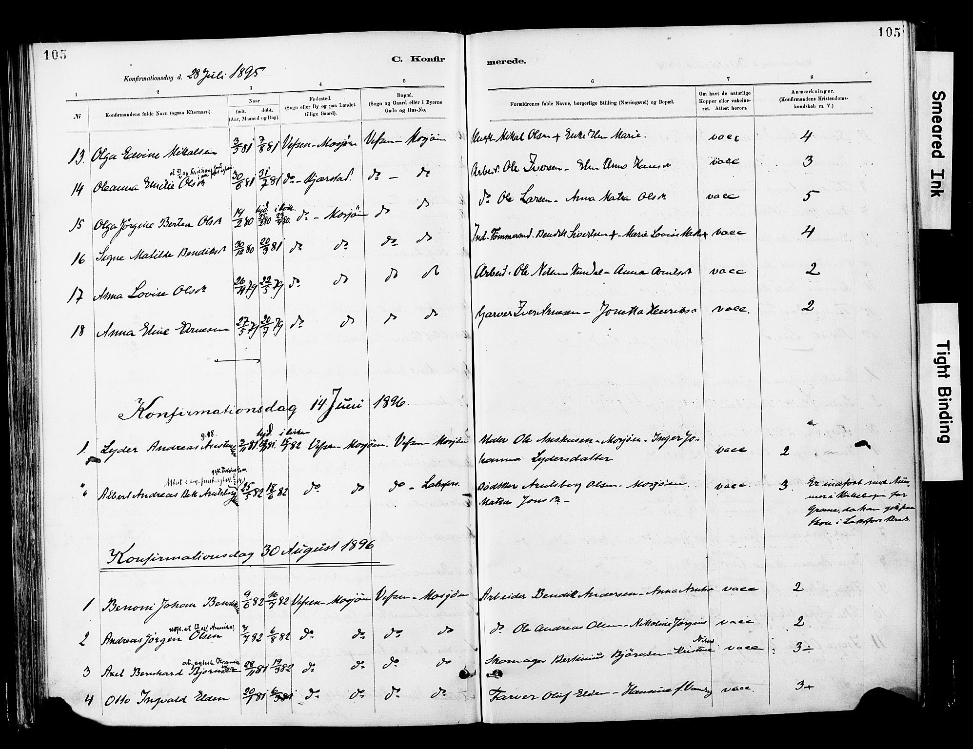 Ministerialprotokoller, klokkerbøker og fødselsregistre - Nordland, AV/SAT-A-1459/820/L0296: Parish register (official) no. 820A17, 1880-1903, p. 105