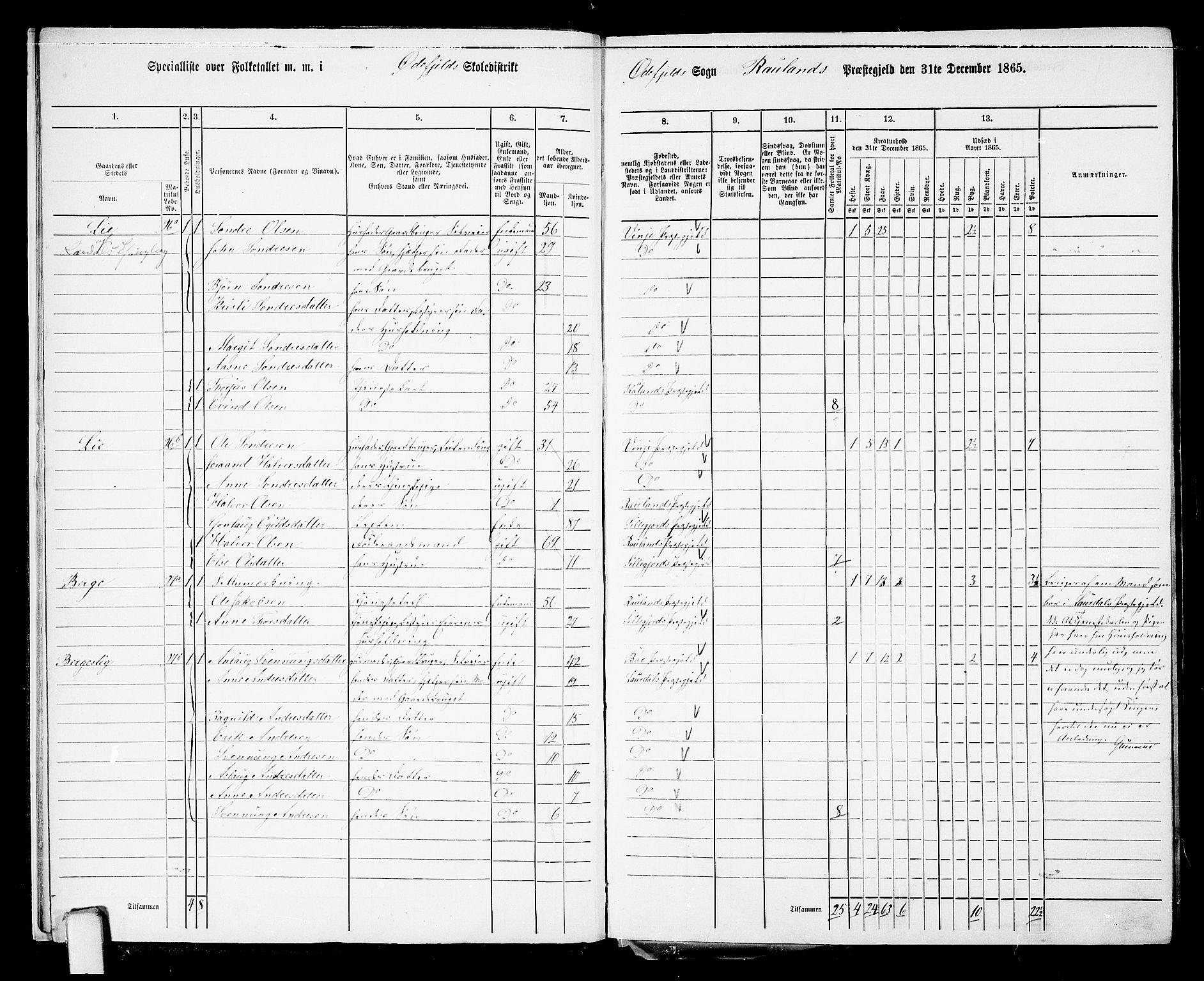 RA, 1865 census for Rauland, 1865, p. 12