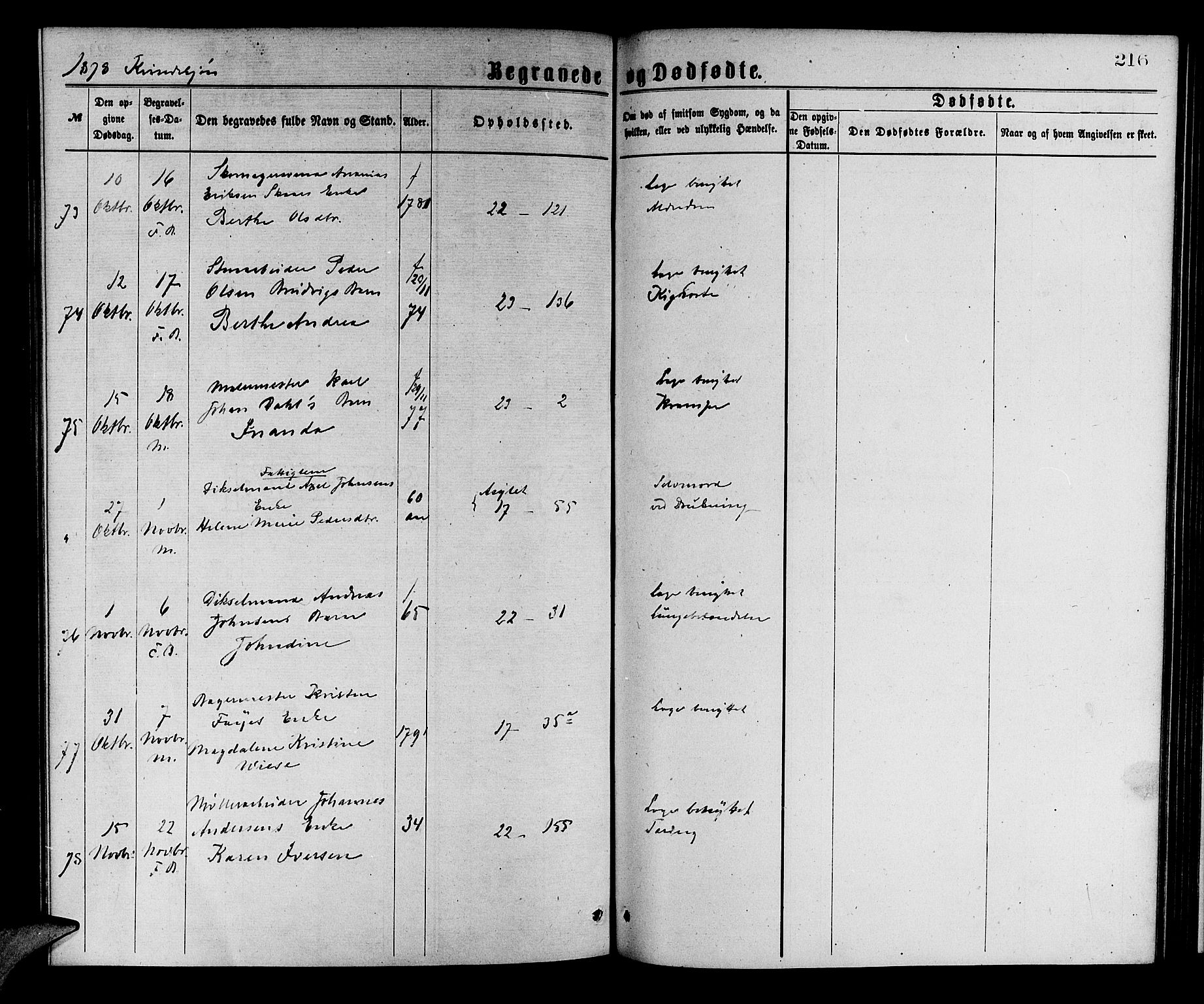 Korskirken sokneprestembete, AV/SAB-A-76101/H/Hab: Parish register (copy) no. E 3, 1871-1883, p. 216