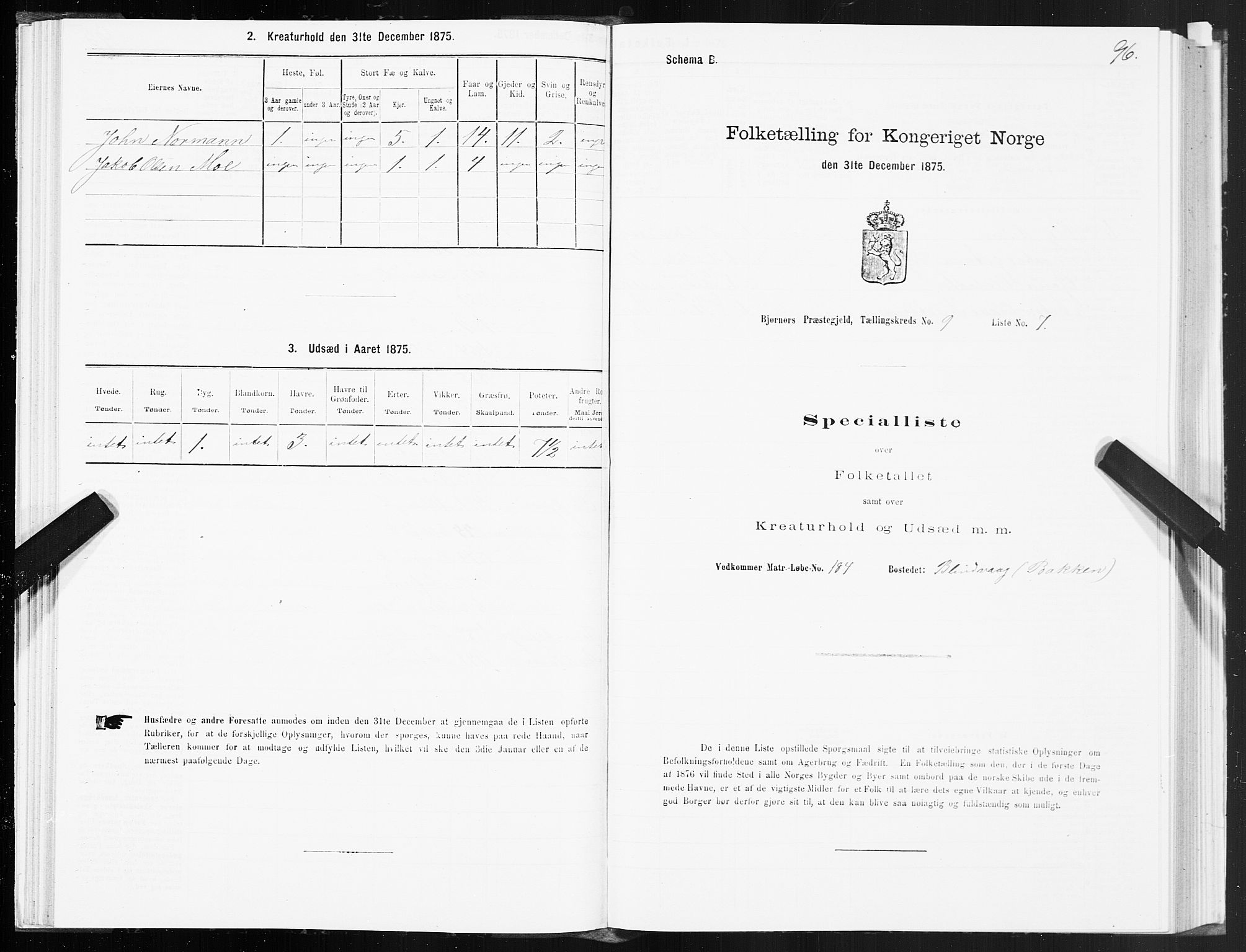 SAT, 1875 census for 1632P Bjørnør, 1875, p. 4096