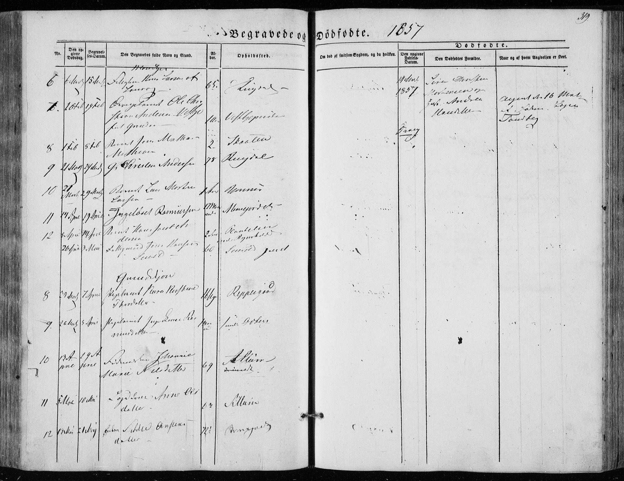 Hedrum kirkebøker, AV/SAKO-A-344/F/Fa/L0006: Parish register (official) no. I 6, 1849-1857, p. 319